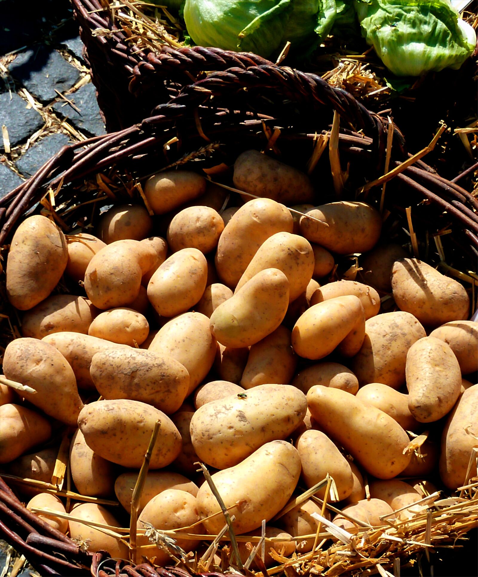 Panasonic DMC-TZ7 sample photo. Potato, vegetables, nutrition photography