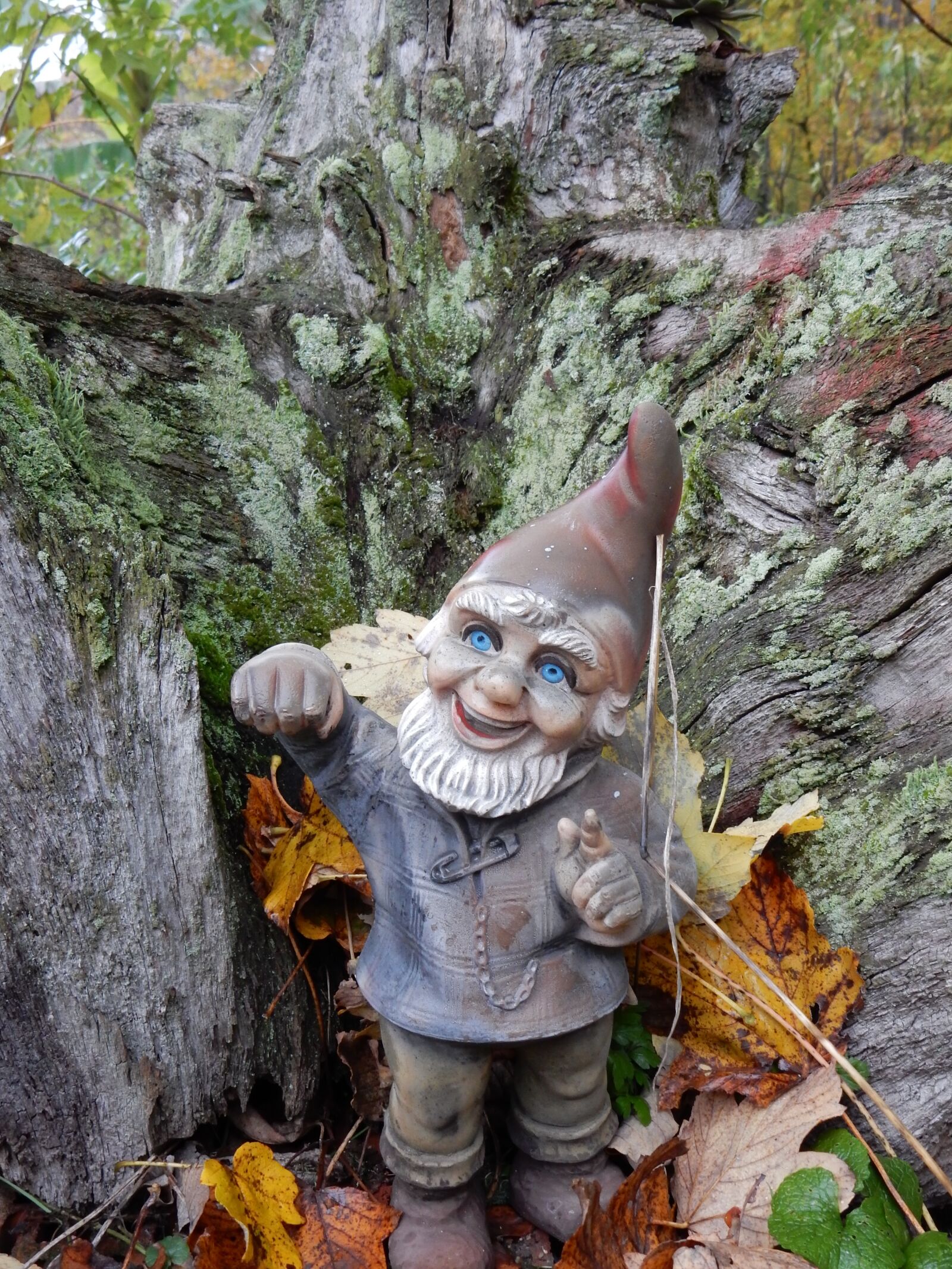Nikon Coolpix S9900 sample photo. Log, dwarf, autumn photography