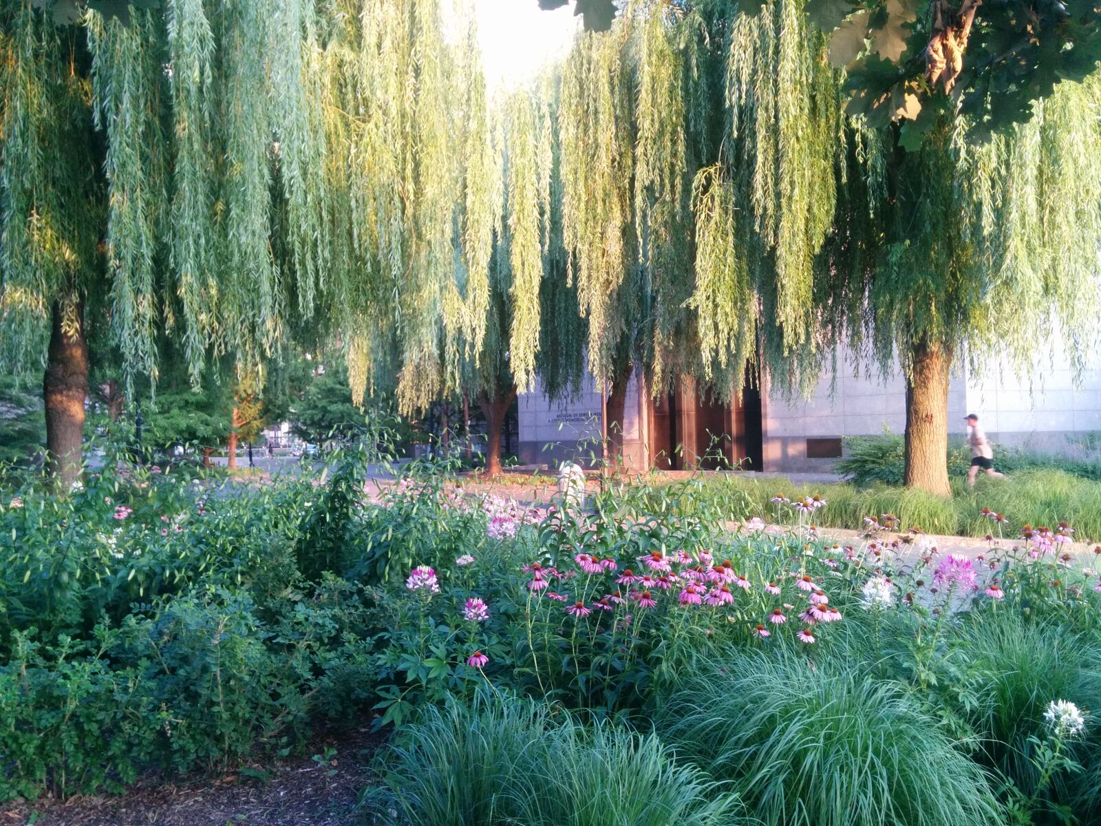 LG Nexus 5 sample photo
