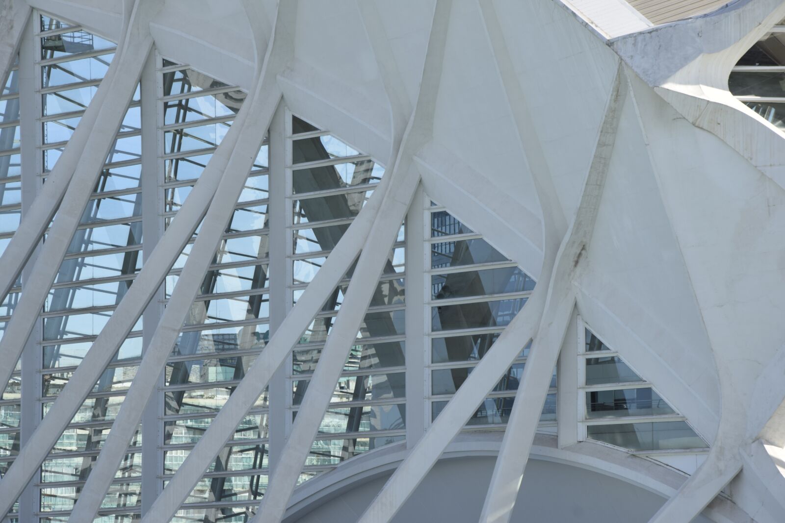 Nikon D5300 sample photo. Valencia, science, museum photography