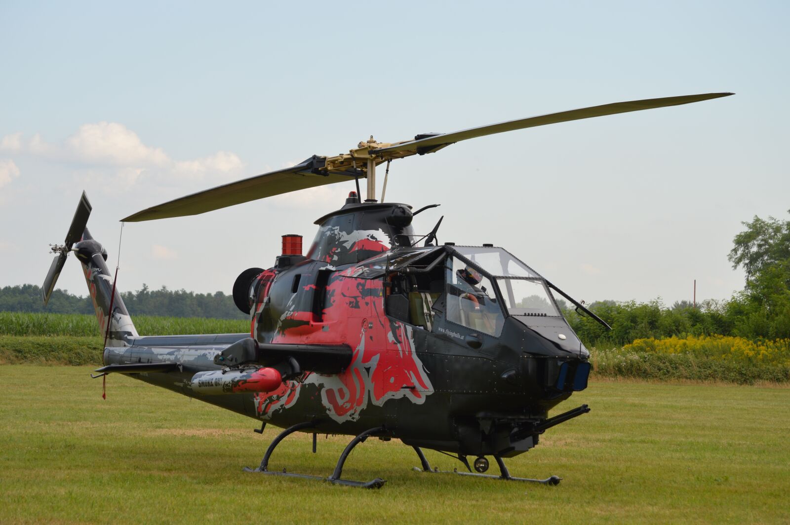 Nikon D3200 sample photo. Helicopter, cobra, air photography