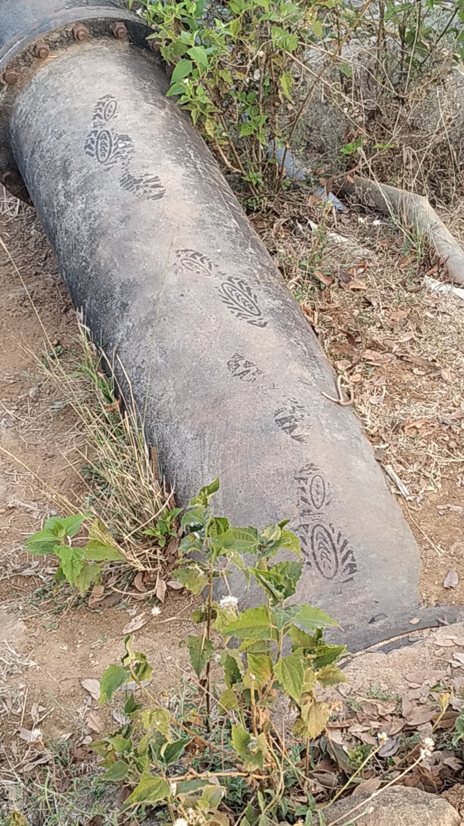 Xiaomi Redmi Note 6 Pro sample photo. Foot, prints, of our photography