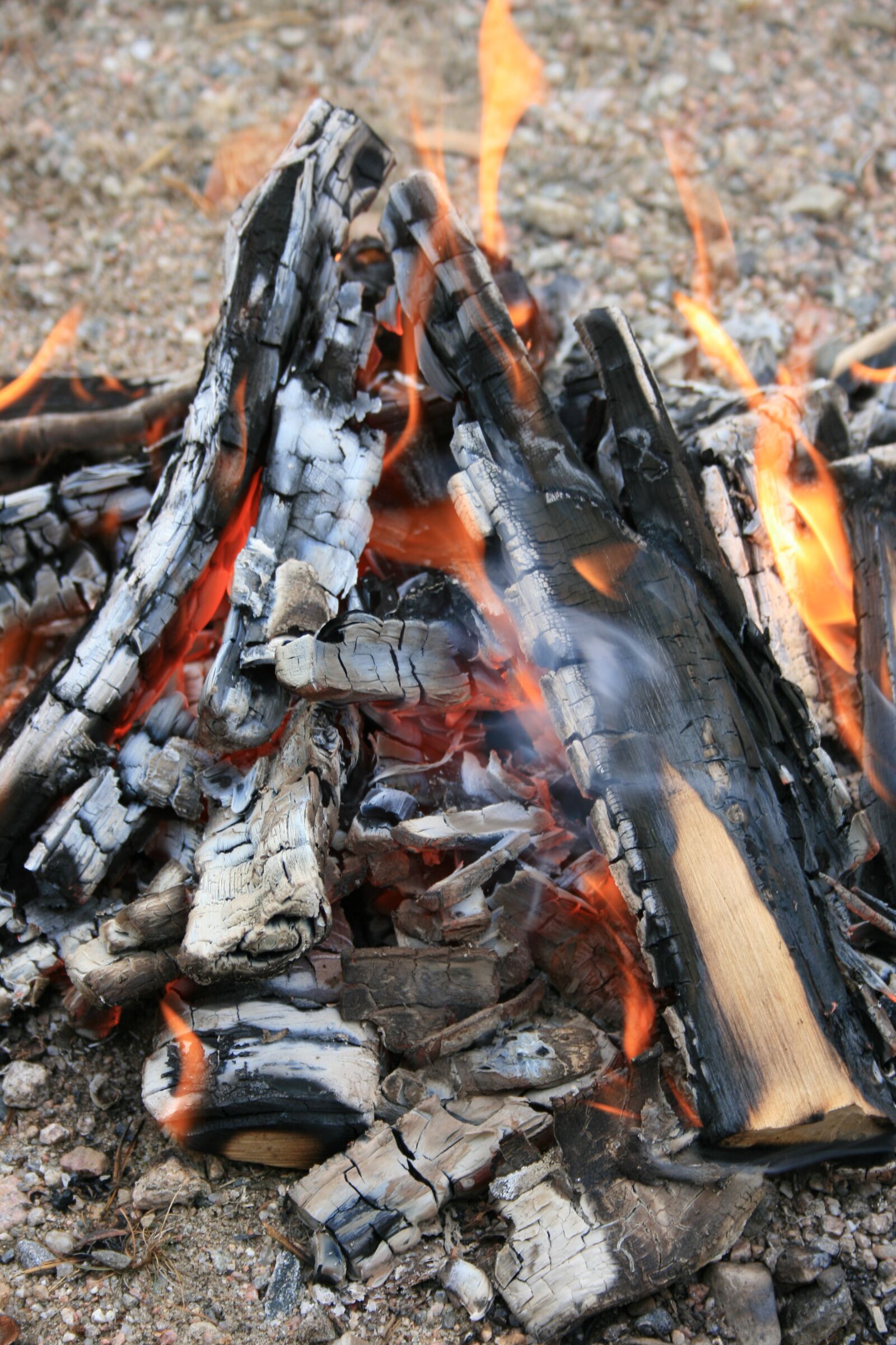 Canon EOS 400D (EOS Digital Rebel XTi / EOS Kiss Digital X) sample photo. Fire, campfire, camping photography