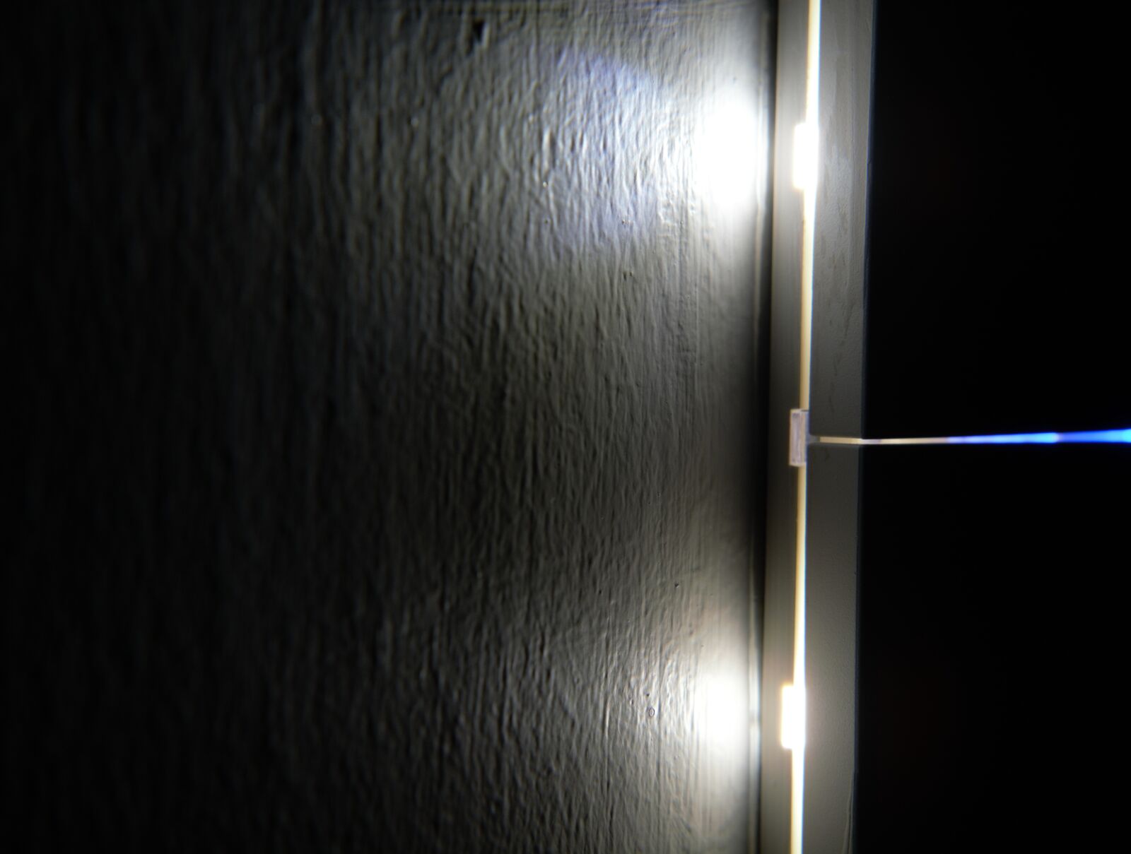 Nikon D7100 sample photo. Macro, micro, reflection wall photography