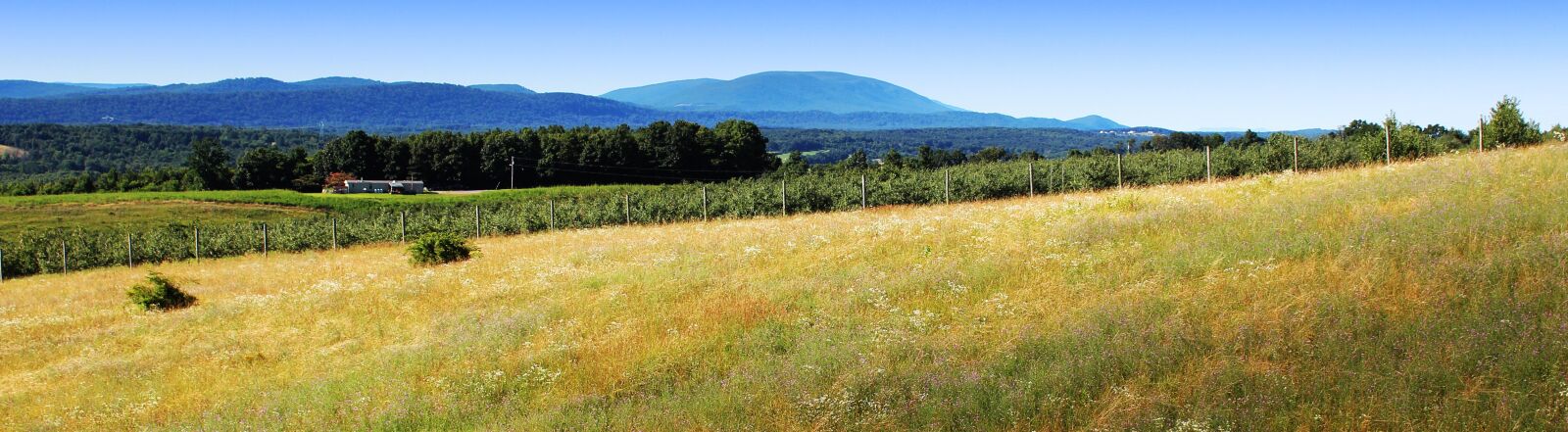 Canon EOS 600D (Rebel EOS T3i / EOS Kiss X5) sample photo. Shenandoah valley, virginia, north photography