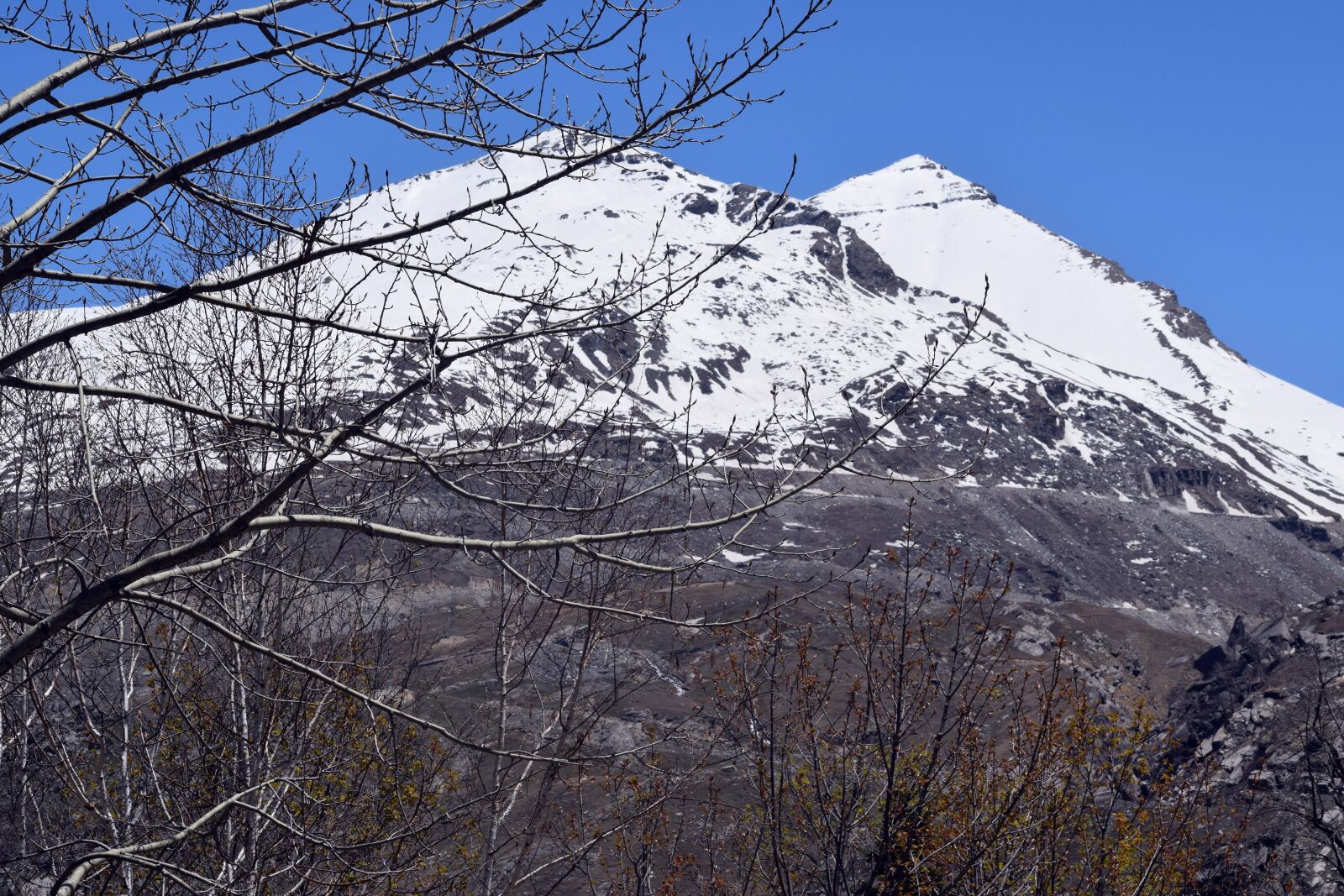 Nikon D3300 sample photo. Mountain, ice, tree photography