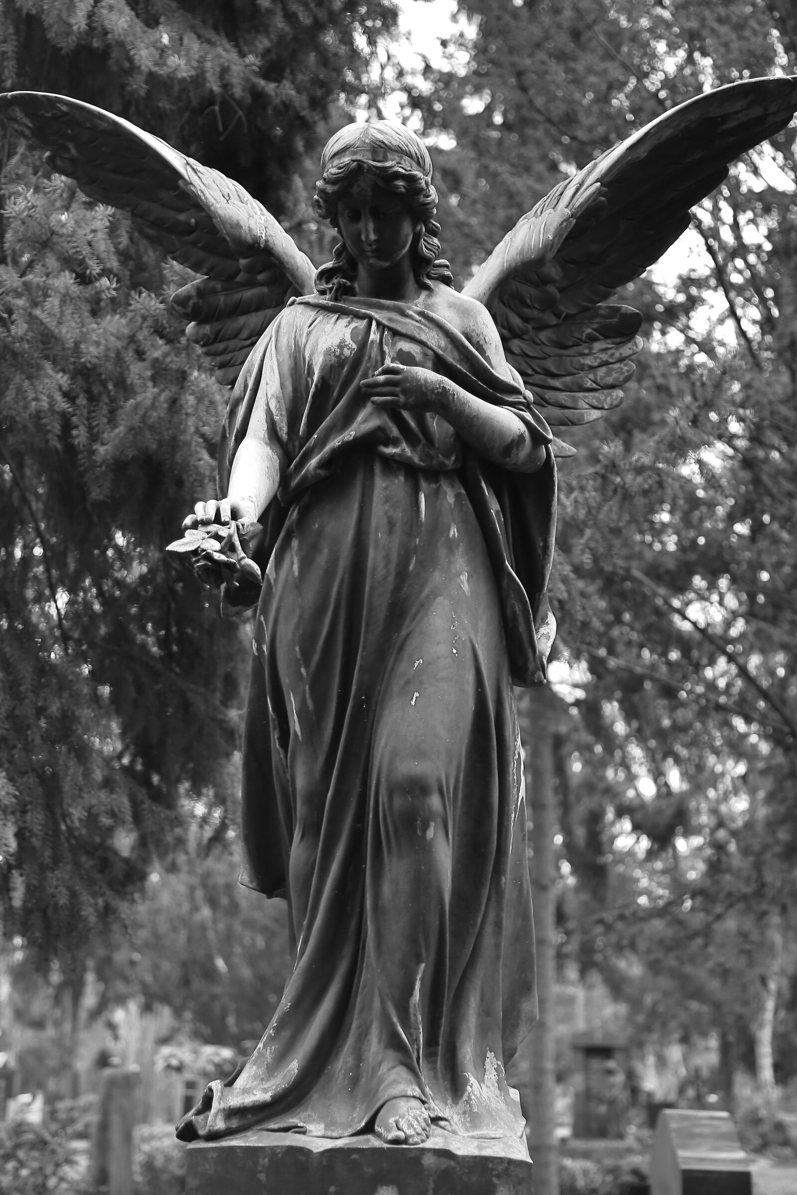 Canon EF 24-105mm F4L IS USM sample photo. Stone figure, cemetery, sculpture photography
