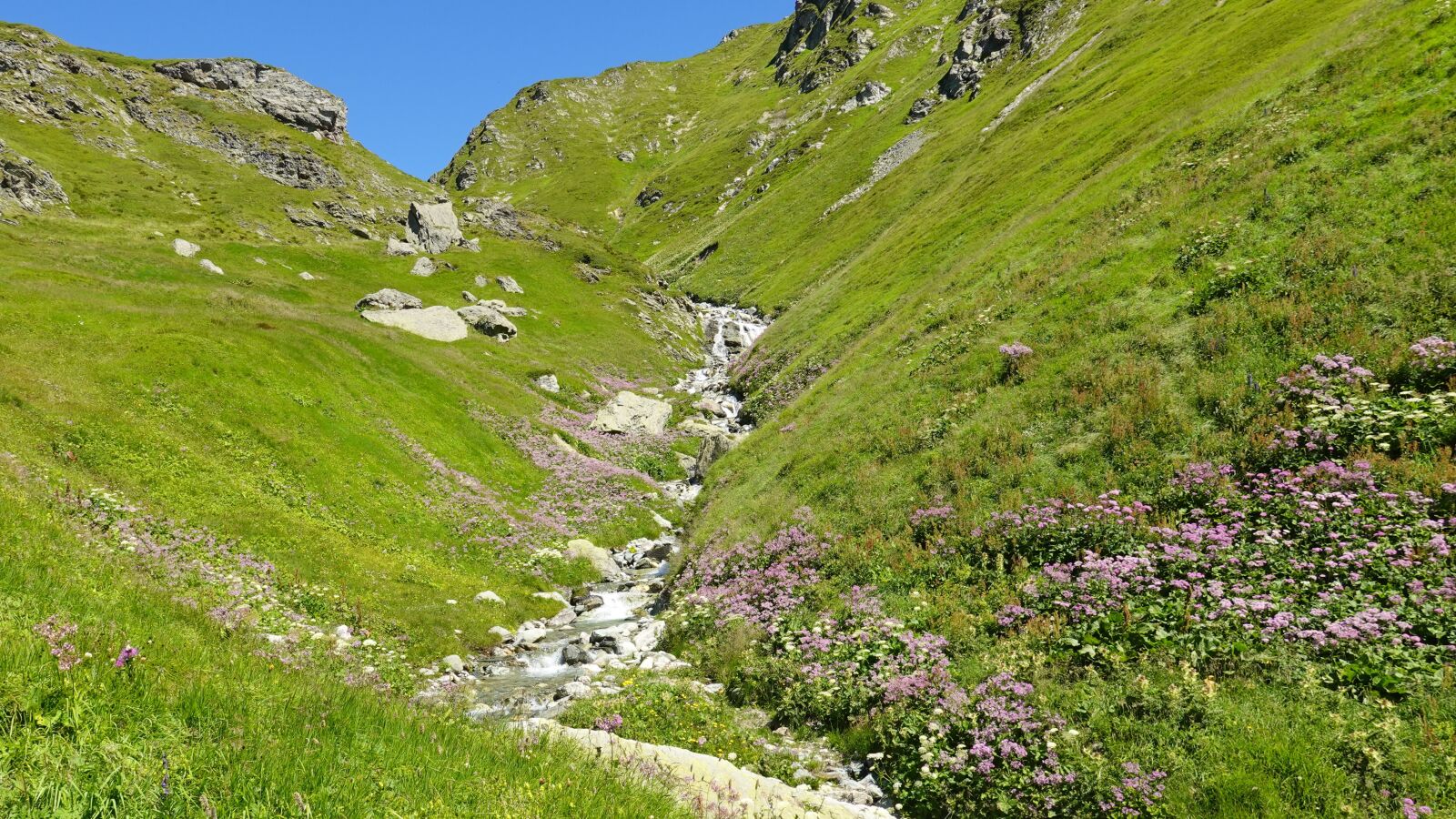 Sony DSC-RX100M7 sample photo. Mountain landscape, mountain stream photography