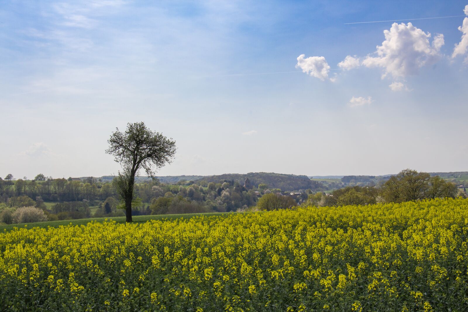 Canon EOS 700D (EOS Rebel T5i / EOS Kiss X7i) sample photo. Agriculture, landscape, field photography
