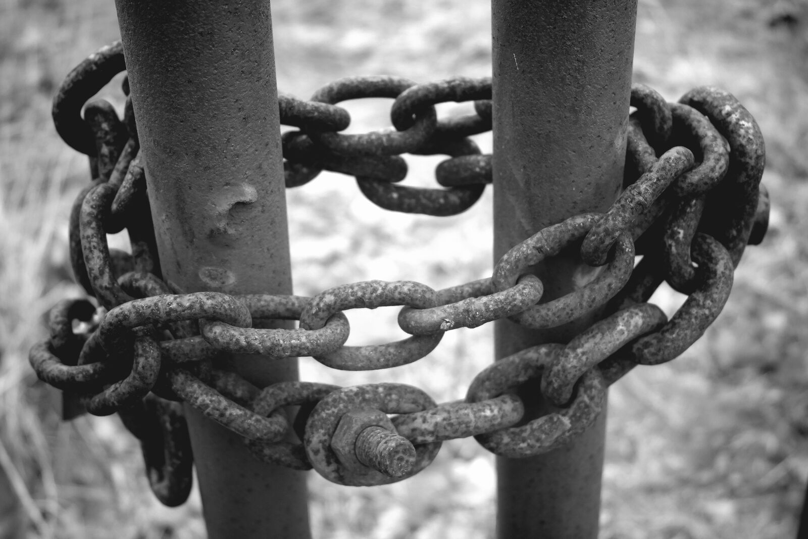 Samsung NX2000 sample photo. Chain, iron, rusty photography
