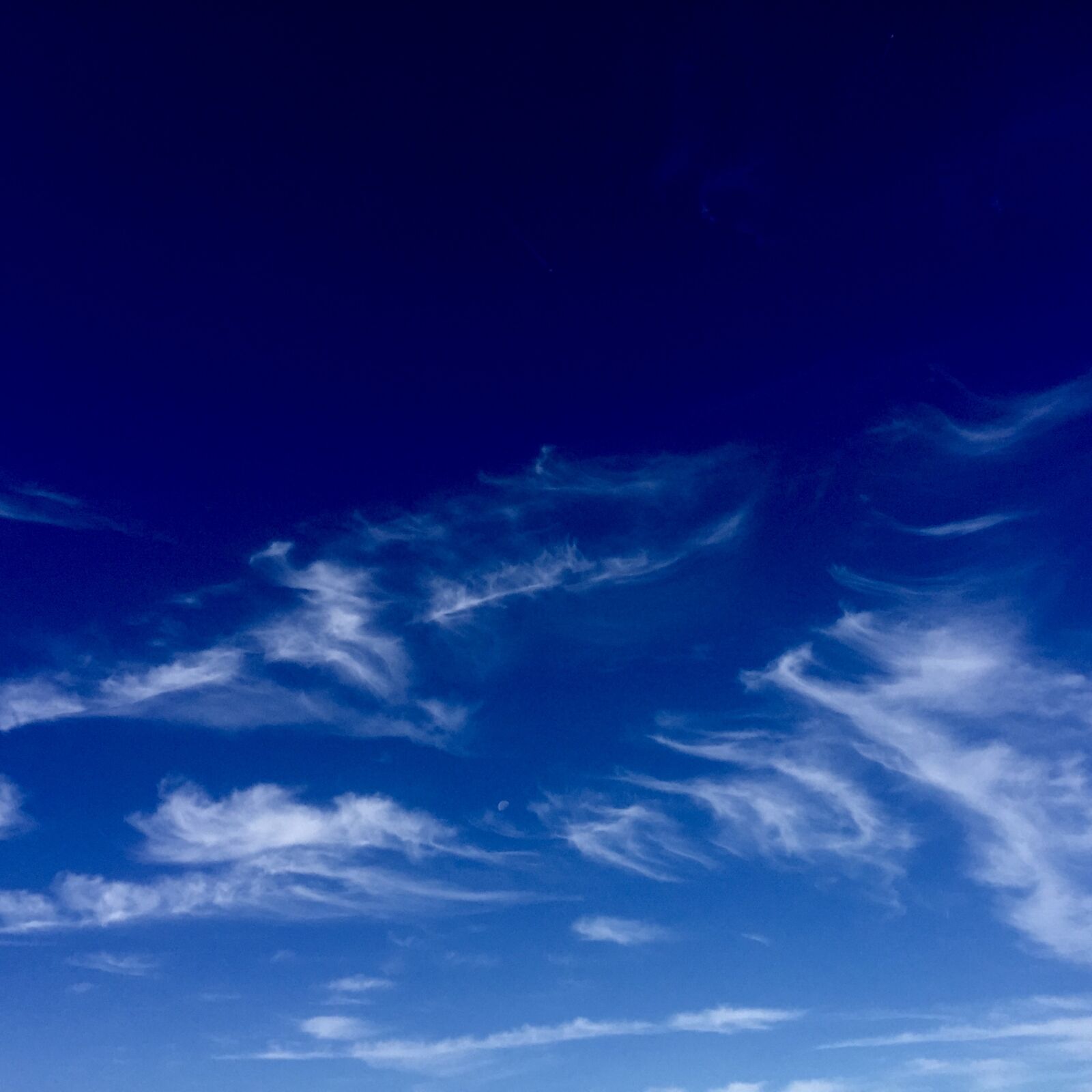 Apple iPhone 6 sample photo