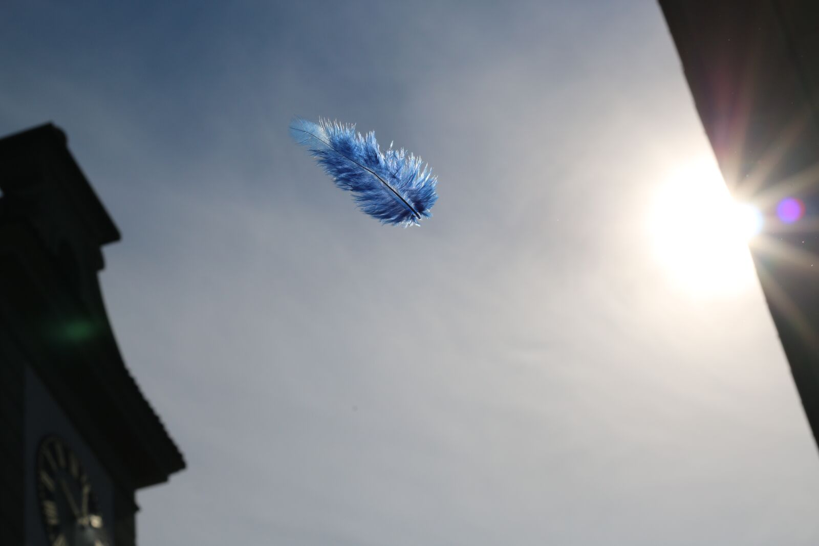 Canon EOS 70D + Canon EF 50mm F1.8 STM sample photo. Feather, lightweight, ease photography
