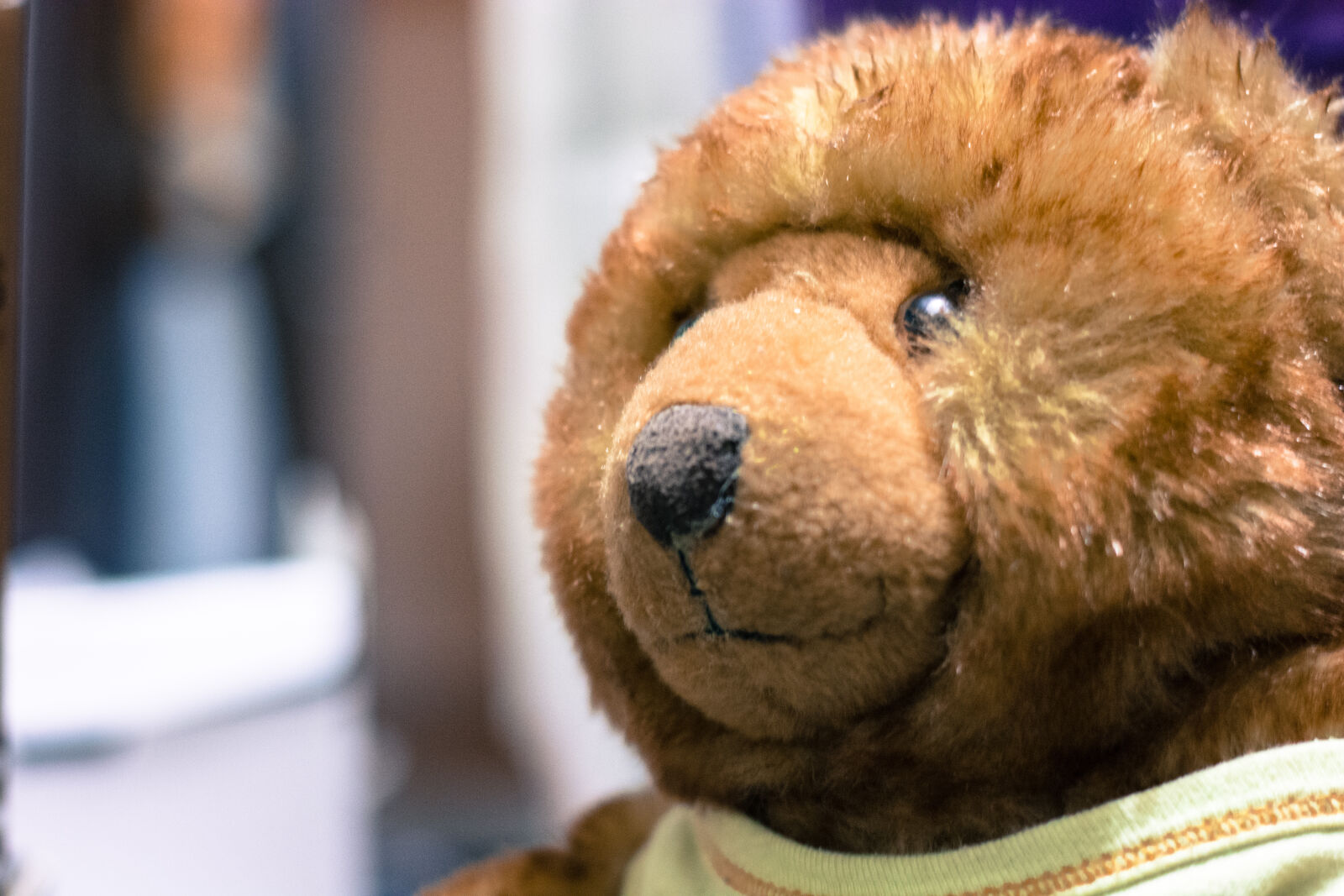 Nikon D5200 + Nikon AF-S Nikkor 50mm F1.8G sample photo. Bear, blur, brown, close photography
