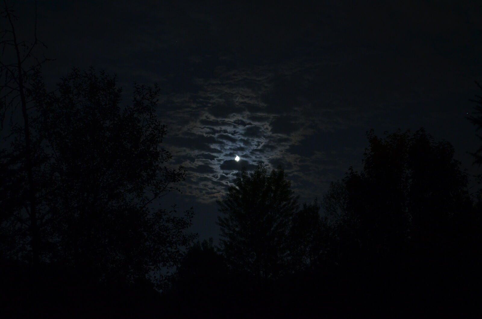 Nikon D5100 sample photo. Moon photography