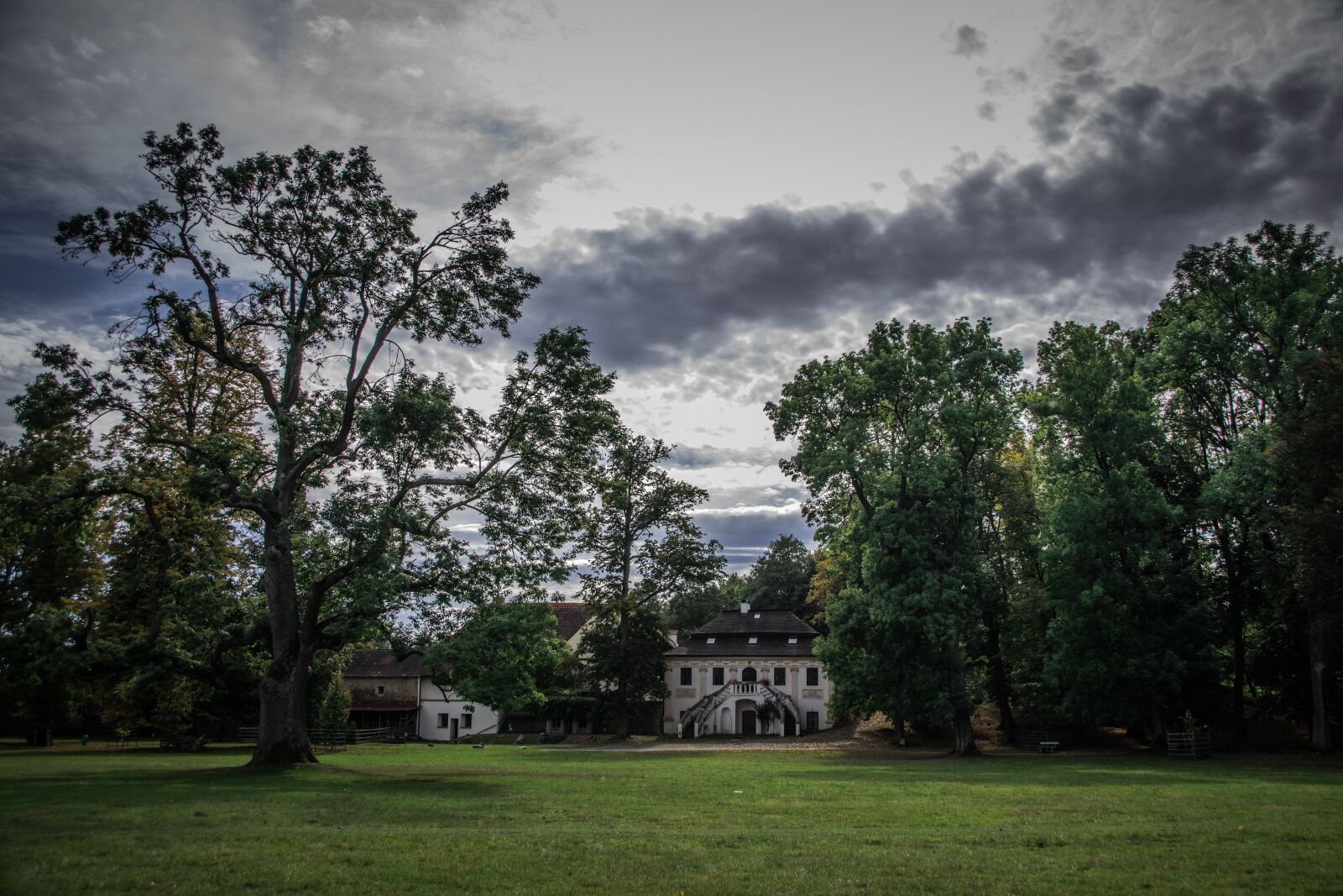 Nikon D5300 sample photo. Park, trees, landscape photography