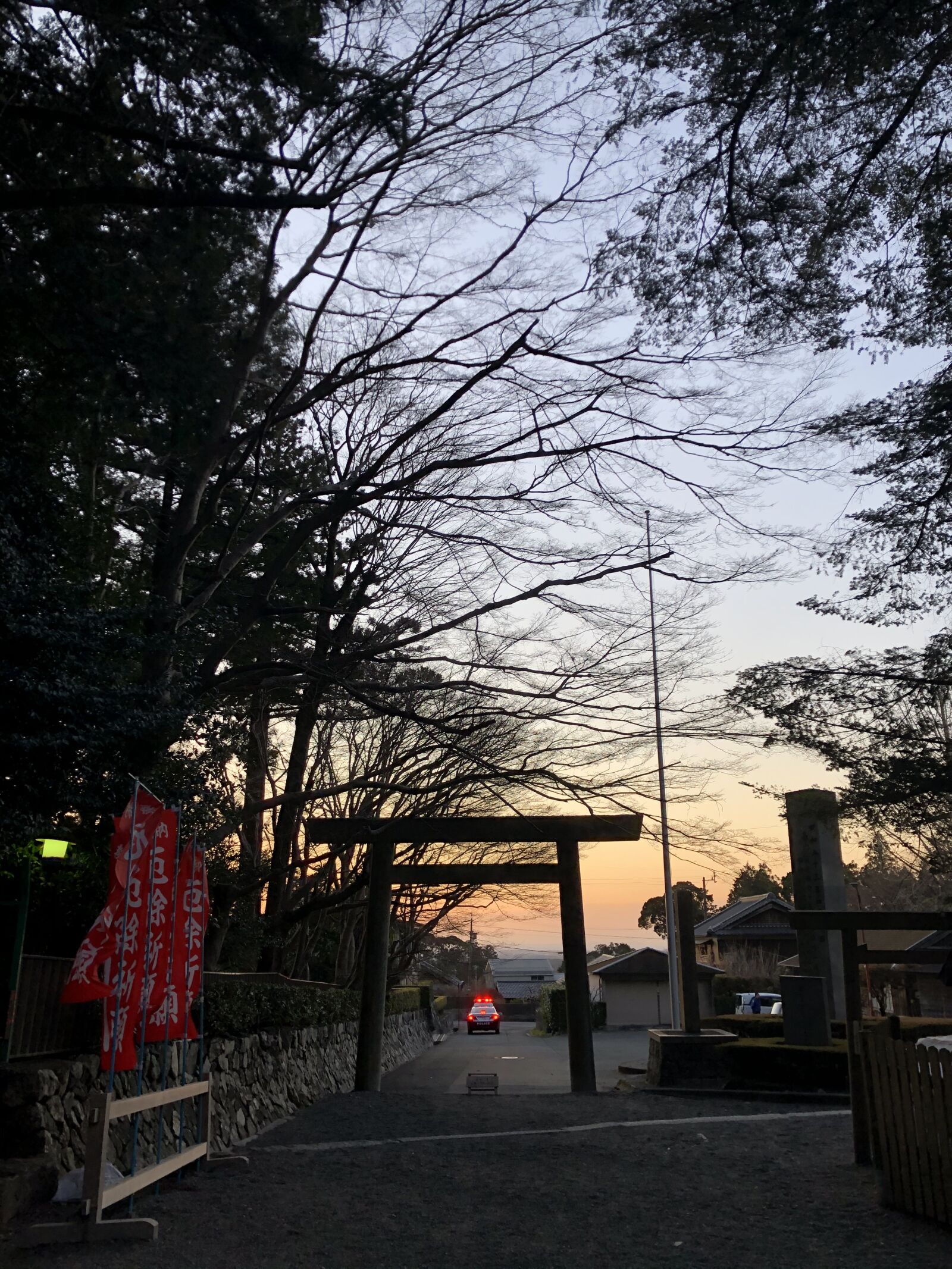 iPhone 8 back camera 3.99mm f/1.8 sample photo. 椿大神社, mie prefecture, camellia i photography