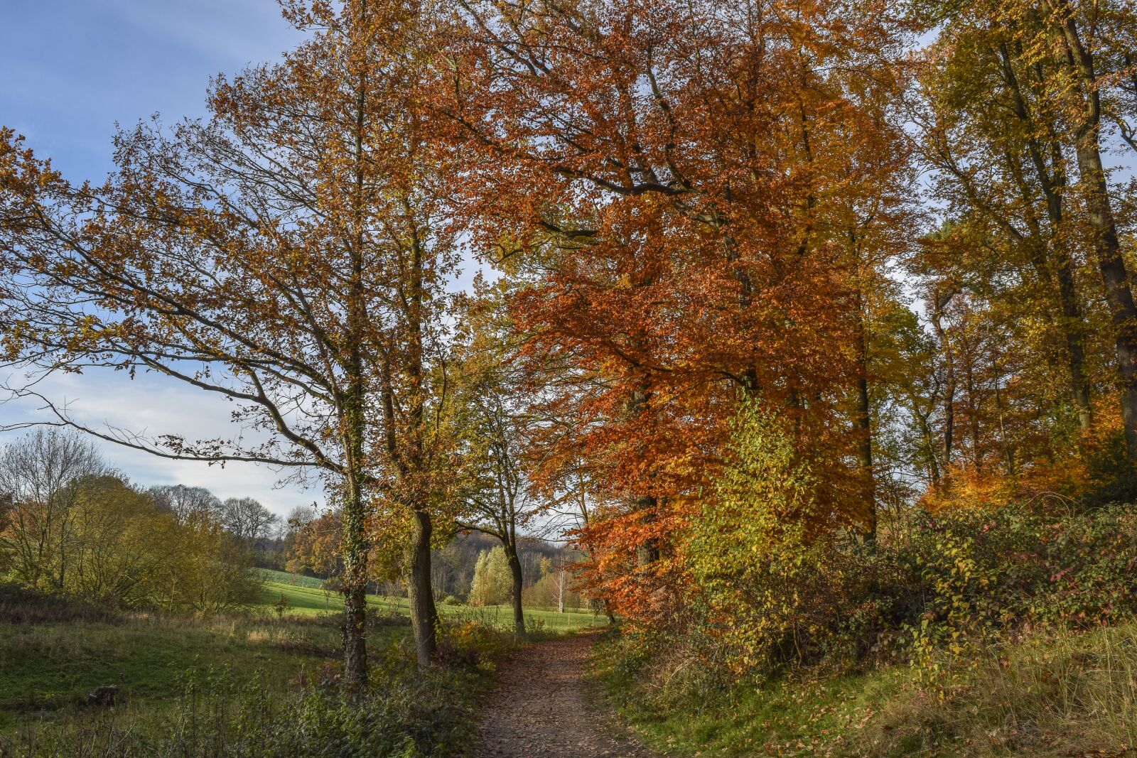 Nikon D3300 sample photo. Landscape, autumn, nature photography