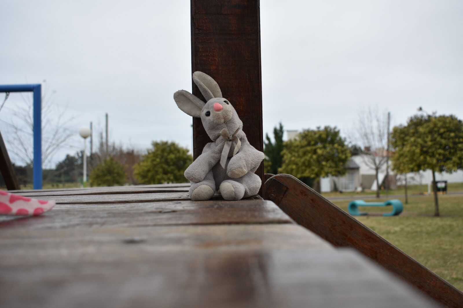 Nikon D3400 sample photo. Teddy, plaza, toy photography