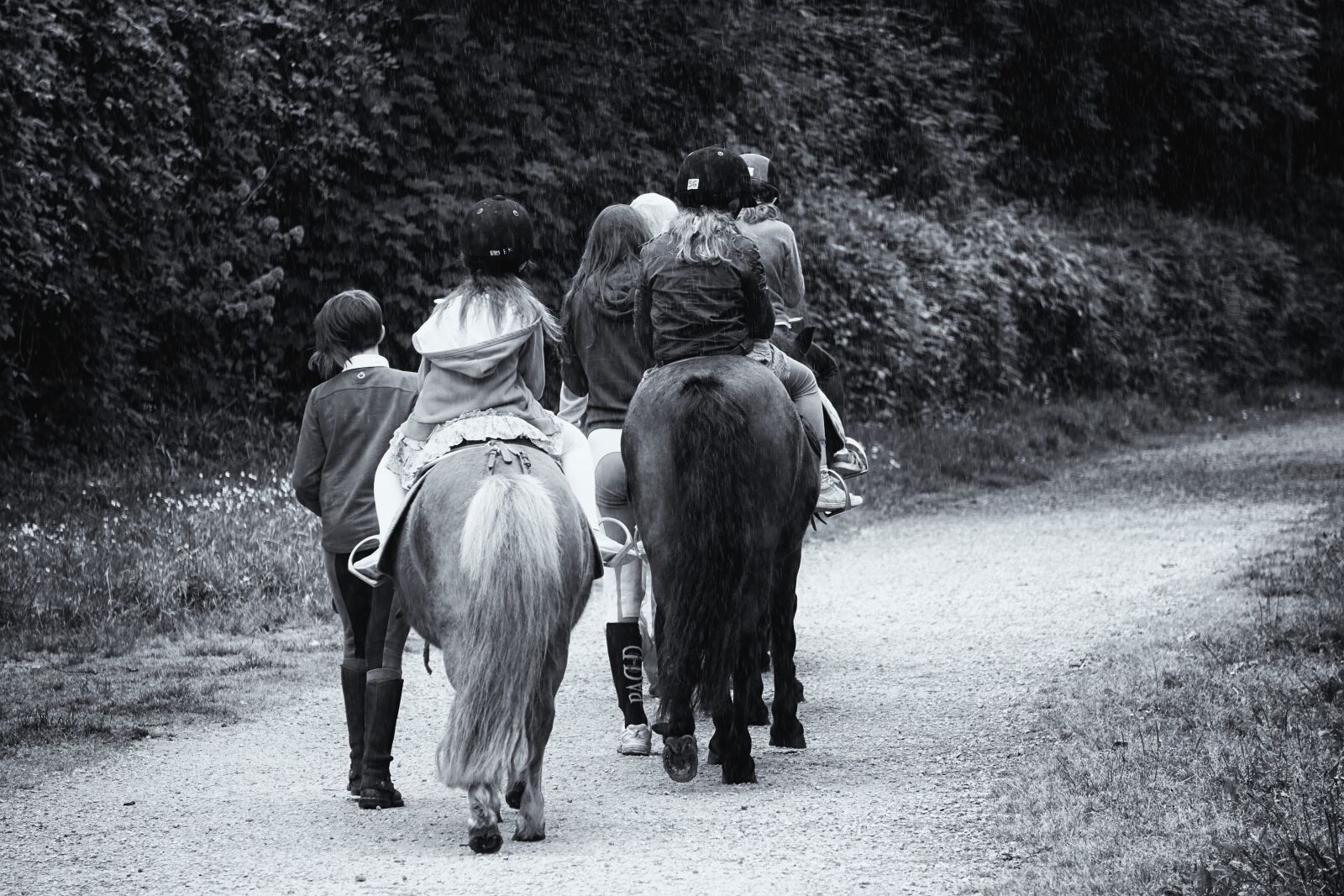 Sony E 55-210mm F4.5-6.3 OSS sample photo. Promenade, horses, riders photography