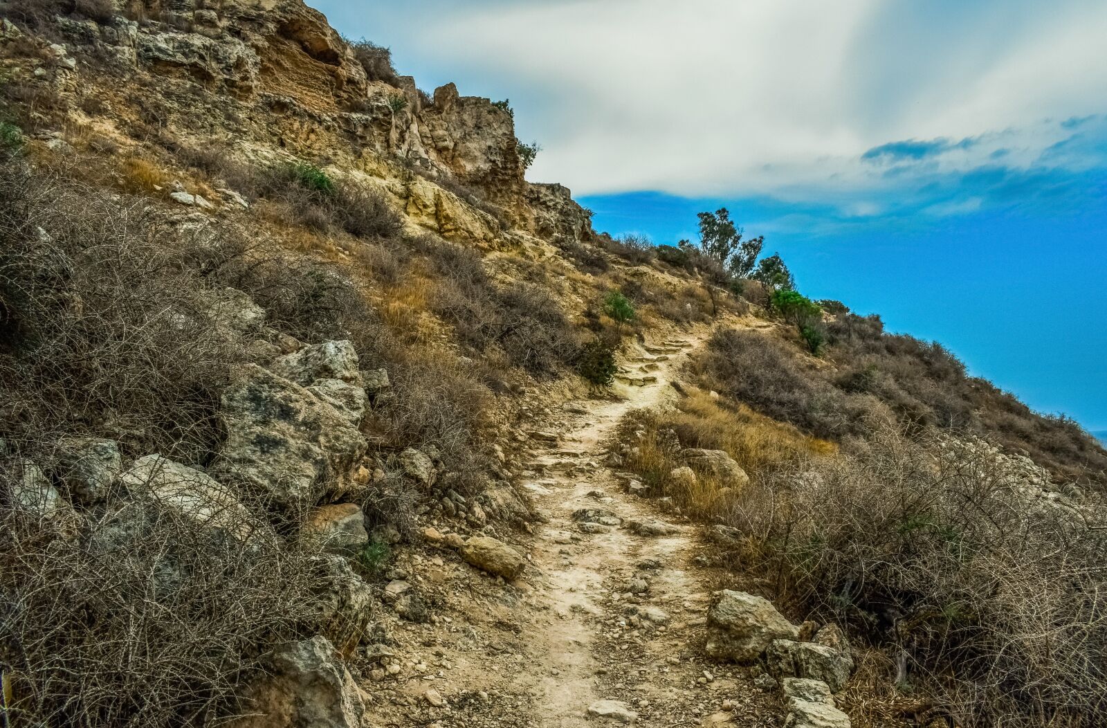 Nikon D3300 sample photo. Path, hill, trekking photography