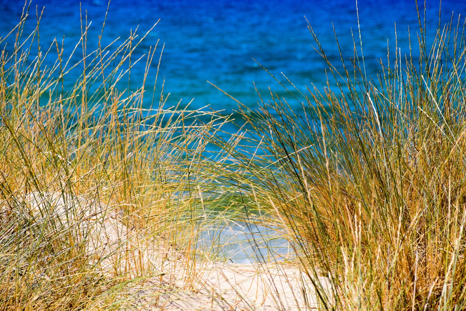 Tamron 18-200mm F3.5-6.3 Di II VC sample photo. Sea, sand, reed photography