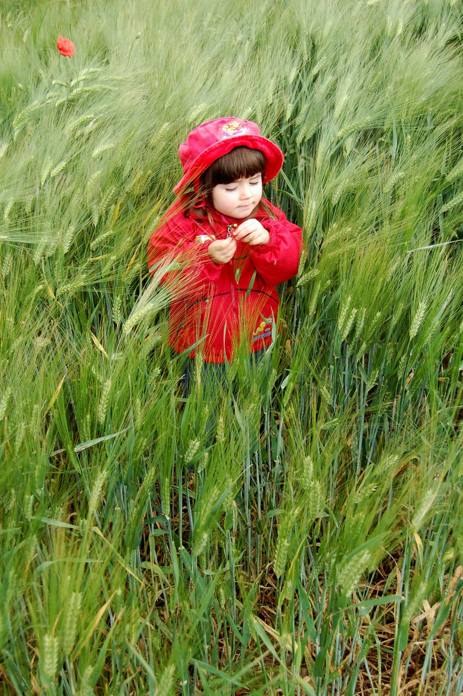 Nikon D40 sample photo. Child, red, meadow photography