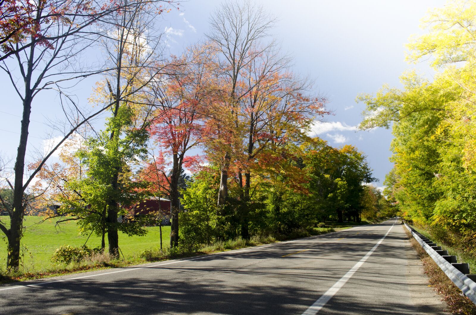 Nikon D5100 sample photo. Road, fall, countryside photography