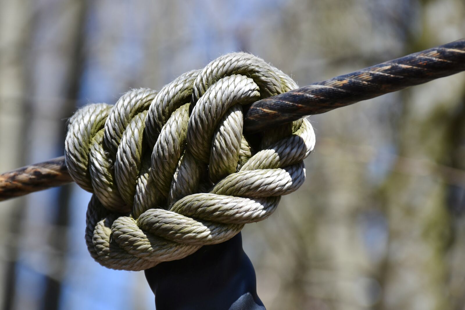 Nikon D7200 sample photo. Dew, knot, security photography