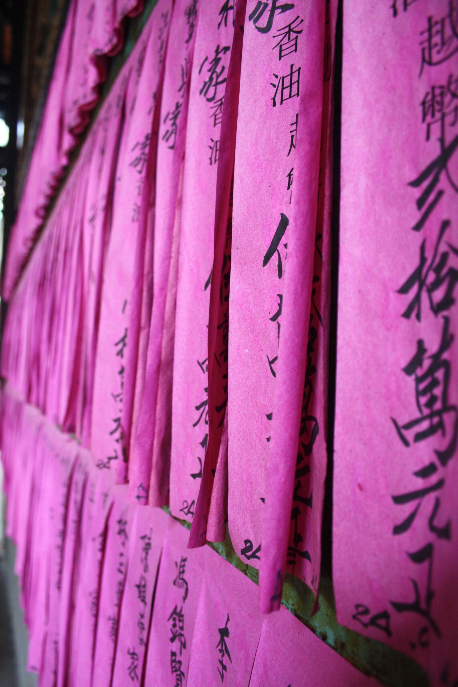 Canon EOS 1000D (EOS Digital Rebel XS / EOS Kiss F) sample photo. Temple hoi an, viet photography