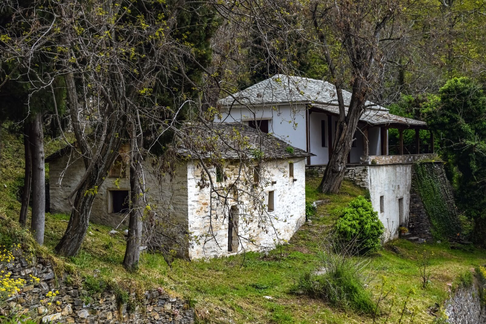Nikon D3300 sample photo. House, cottage, architecture photography