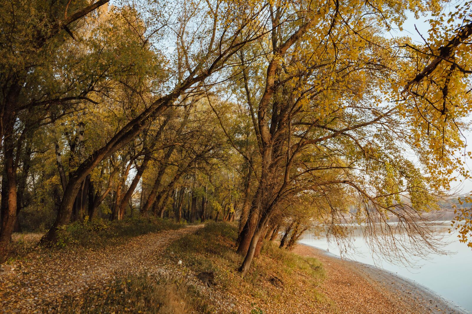 Canon EF-S 18-55mm F3.5-5.6 IS sample photo. Forest road, autumn, lake photography