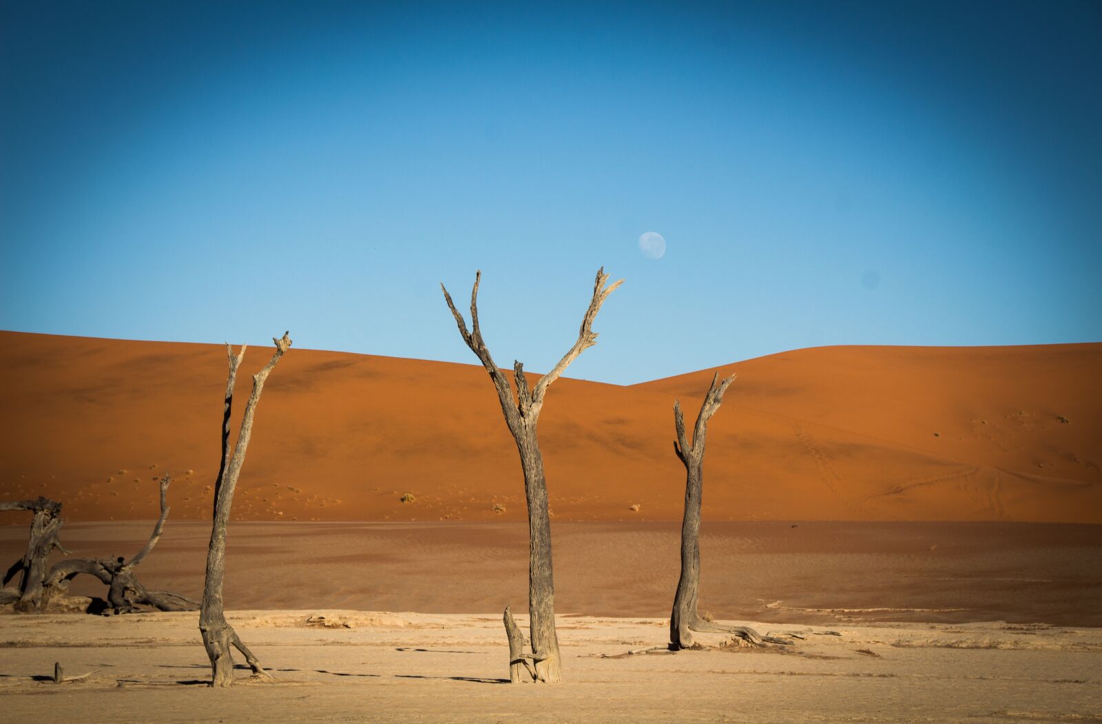 Canon EOS 650D (EOS Rebel T4i / EOS Kiss X6i) sample photo. Namibia, namib, outdoors photography