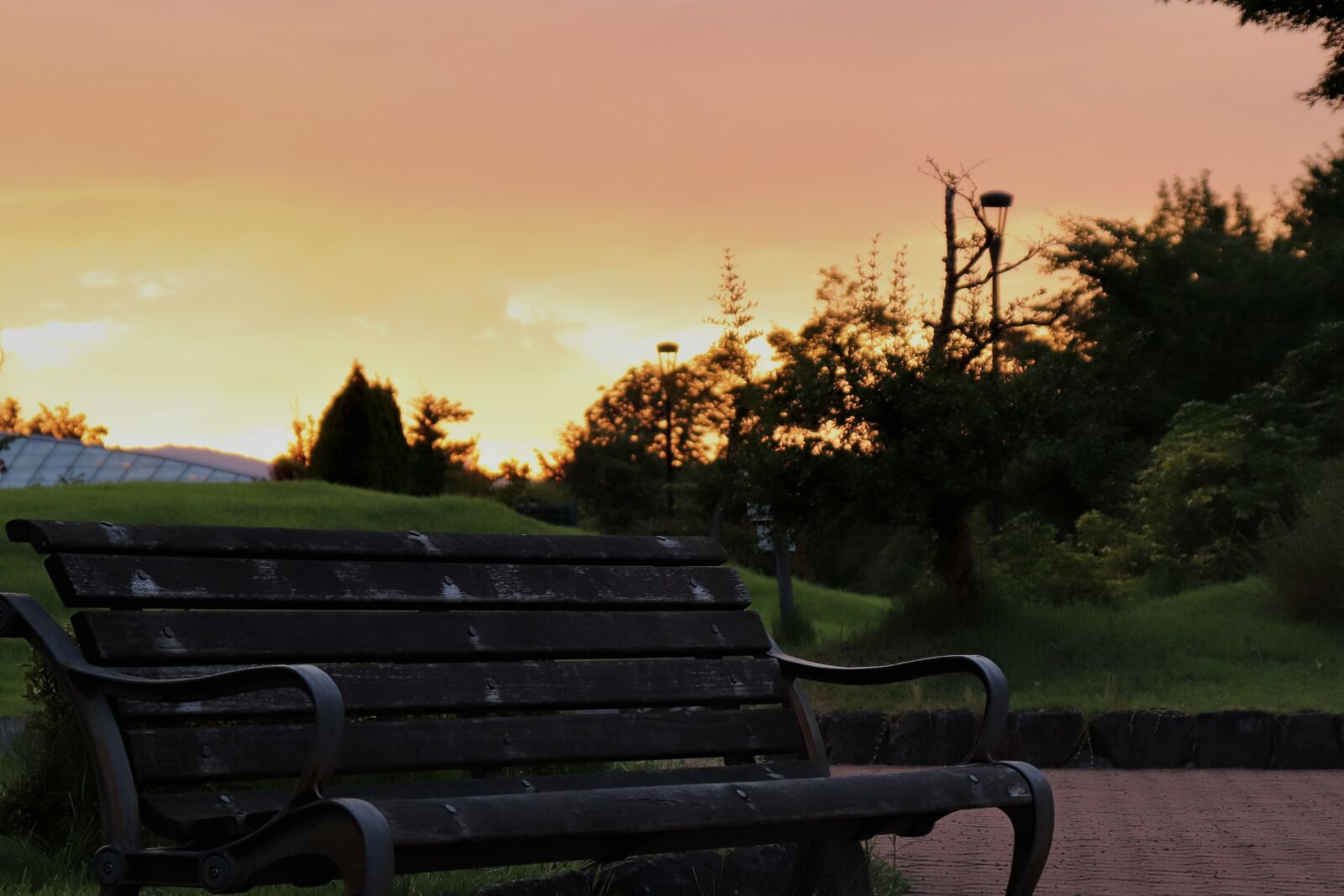 Canon EOS 200D (EOS Rebel SL2 / EOS Kiss X9) sample photo. Bench, park, sunset photography