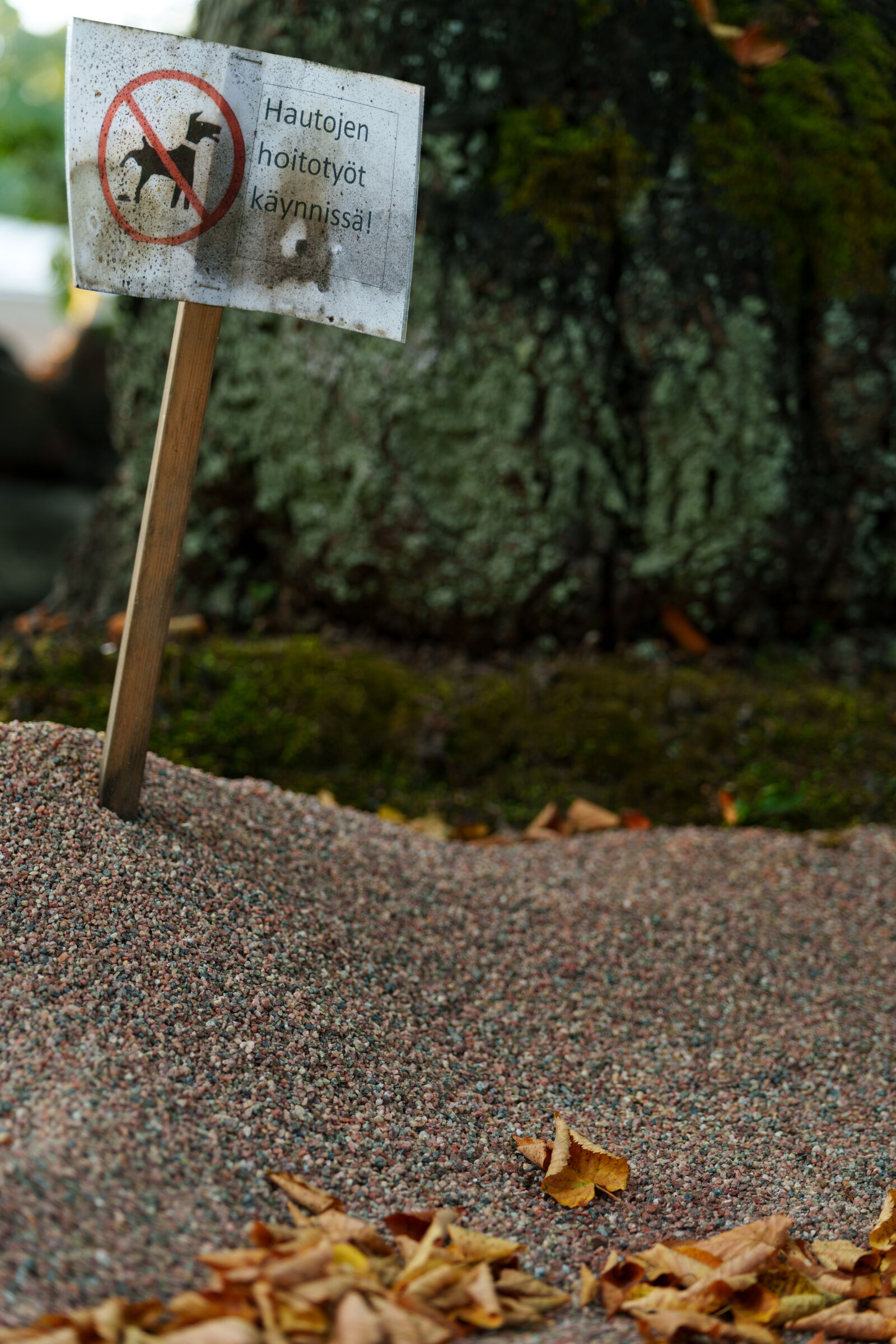 Sigma 28-105mm F2.8 DG DN | Art sample photo. No dogs sand pile photography