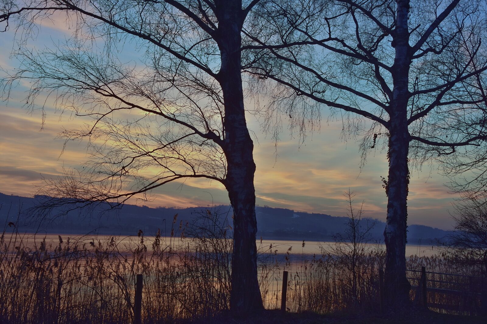 Nikon D7200 sample photo. Sunset, abendstimmung, mood photography