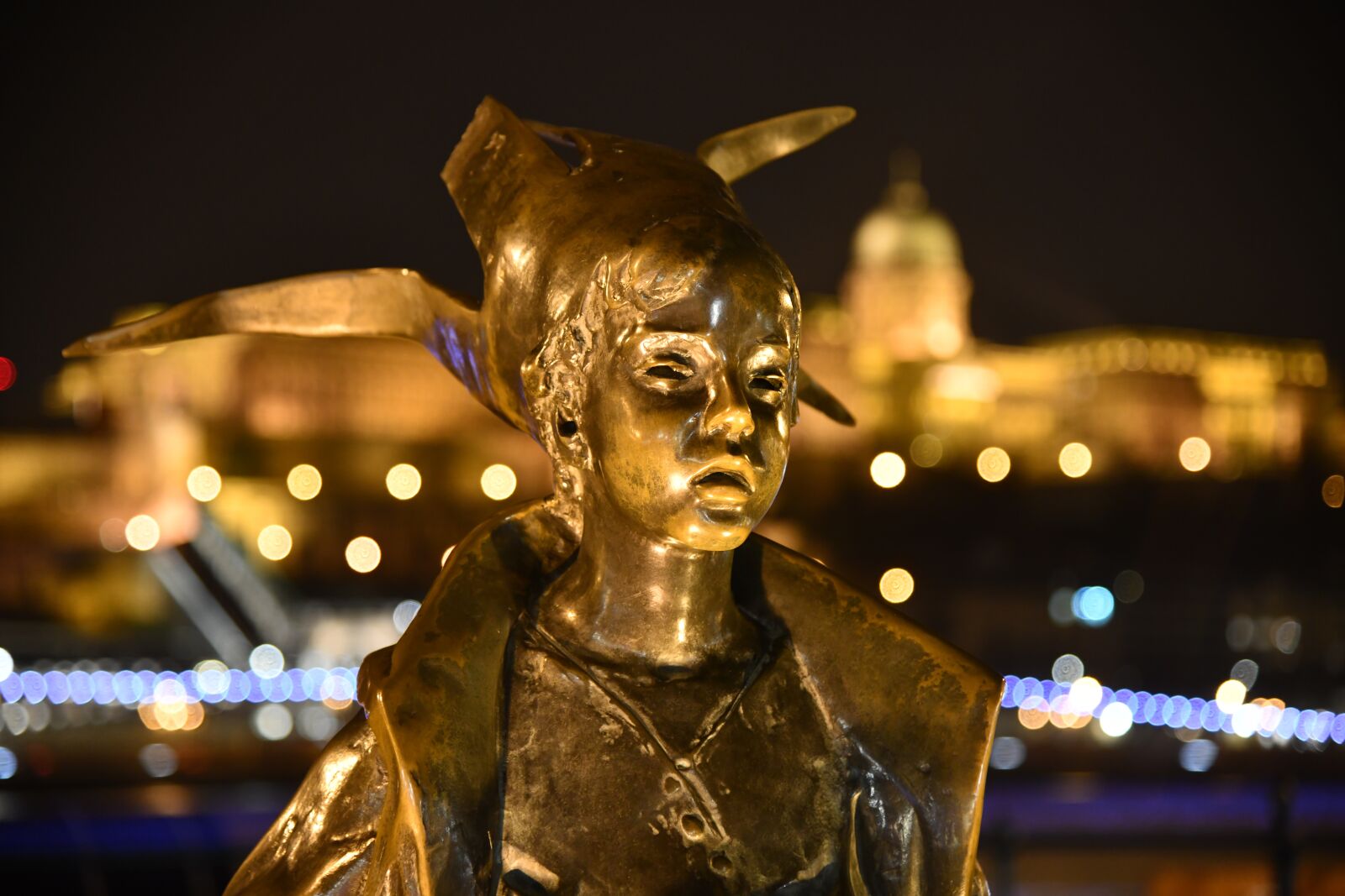 Nikon D850 sample photo. Budapest, the danube, statue photography