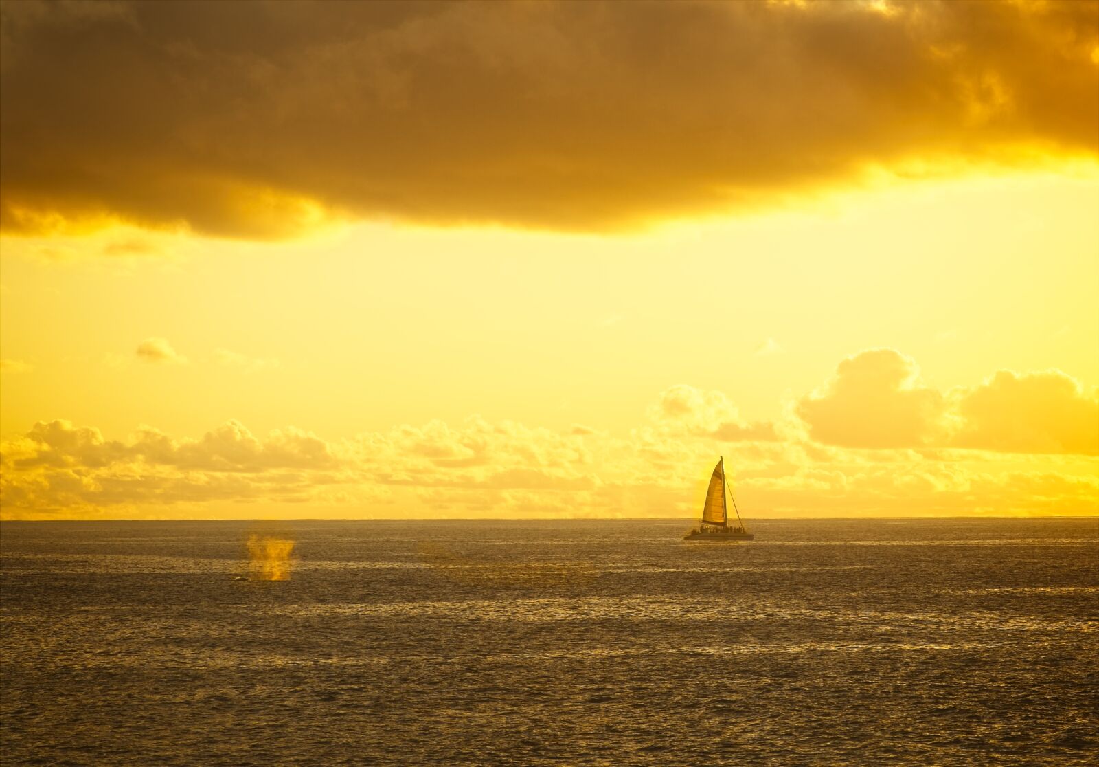 Sony FE 24-105mm F4 G OSS sample photo. Whale watchers, whale, sunset photography