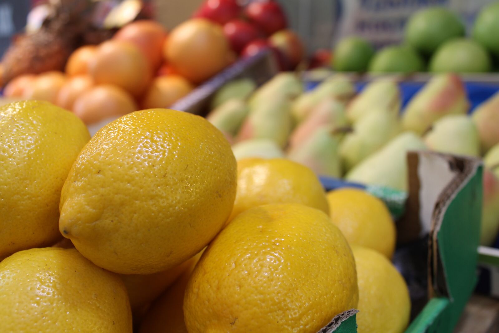 Canon EOS 1100D (EOS Rebel T3 / EOS Kiss X50) sample photo. Lemon, lemons, fruits photography