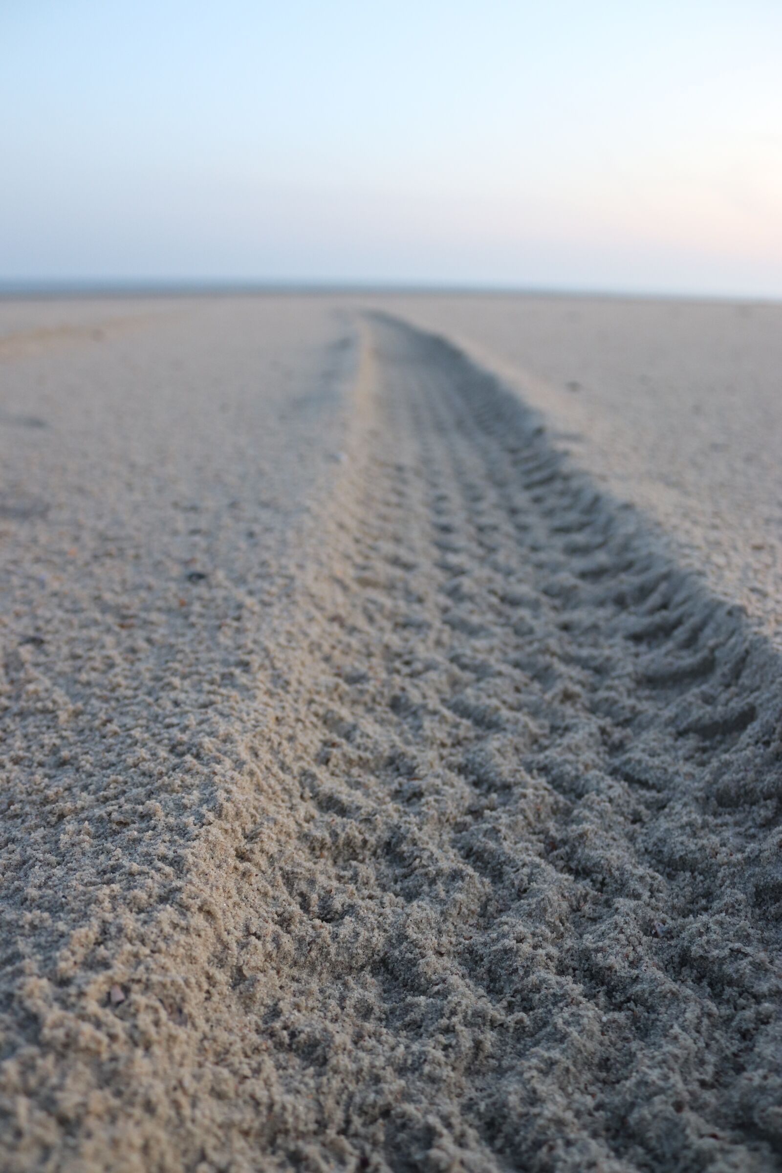 Canon EOS 200D (EOS Rebel SL2 / EOS Kiss X9) sample photo. Tire tracks, sand, traces photography