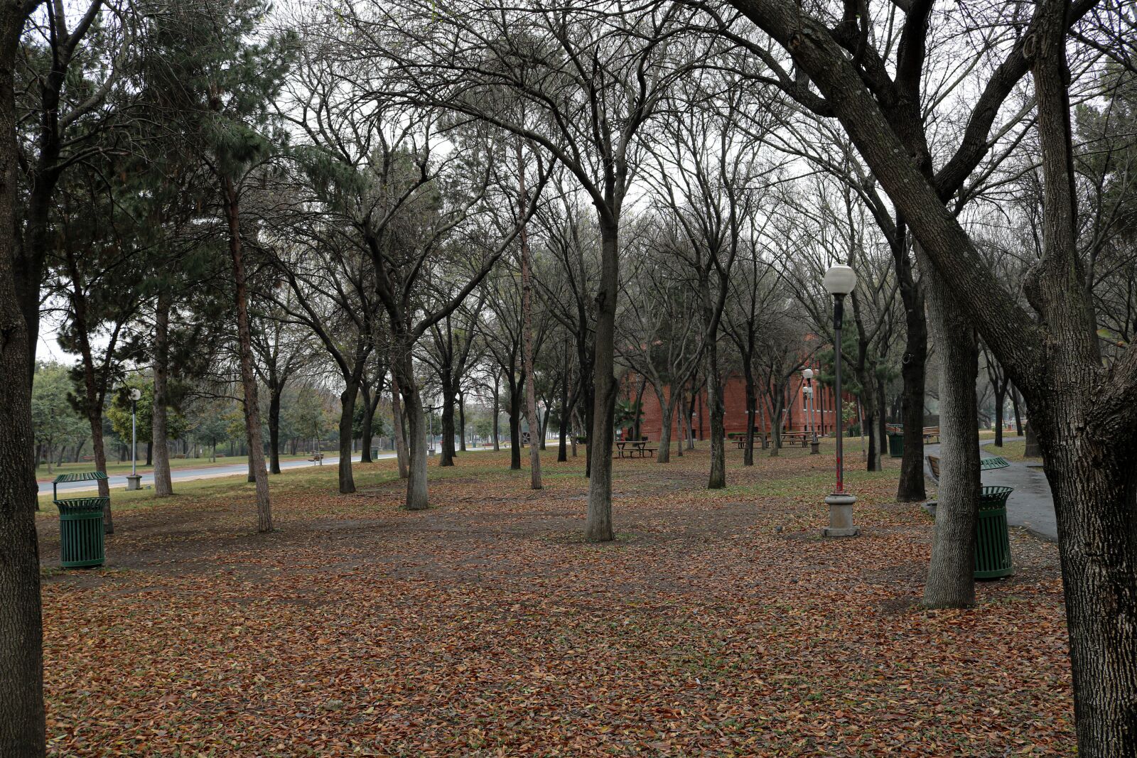 Canon EOS 750D (EOS Rebel T6i / EOS Kiss X8i) + Canon EF-S 18-55mm F3.5-5.6 IS STM sample photo. Winter, monterrey, fundidora park photography