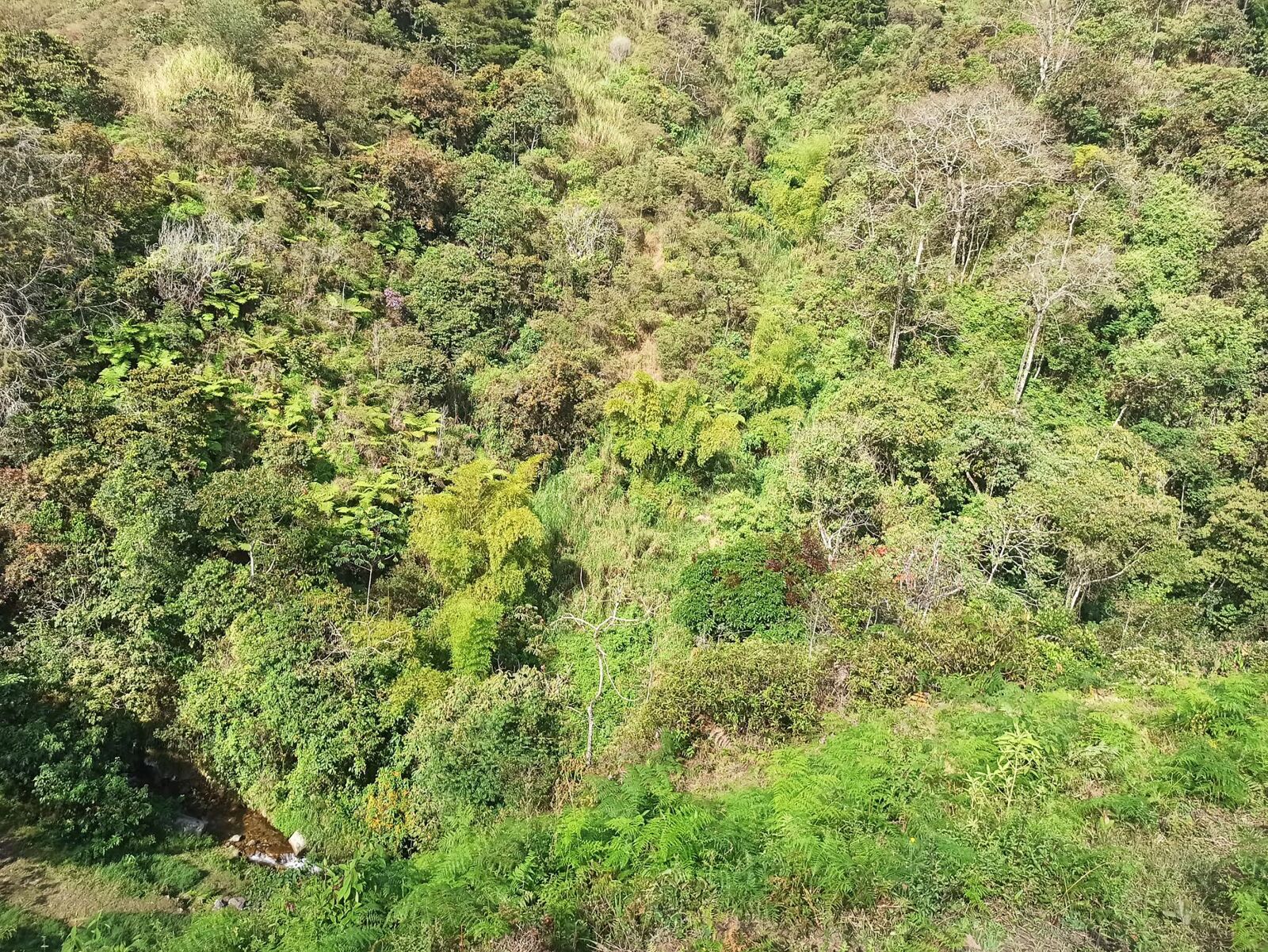 Xiaomi Redmi Note 8 Pro sample photo. Landscapes, colombia, antioquia photography
