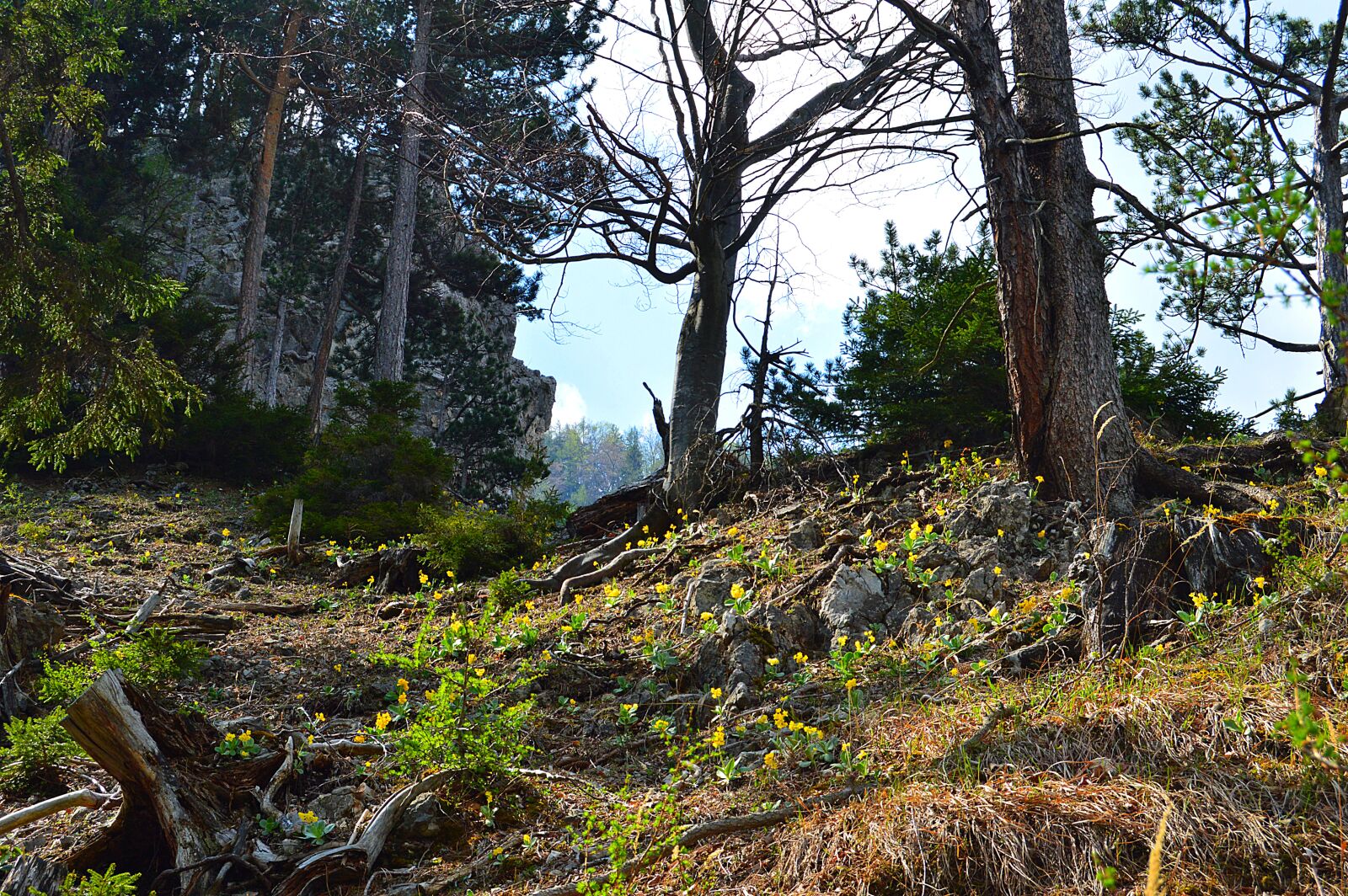 Nikon D3200 sample photo. Snow mountain, rax, lower photography