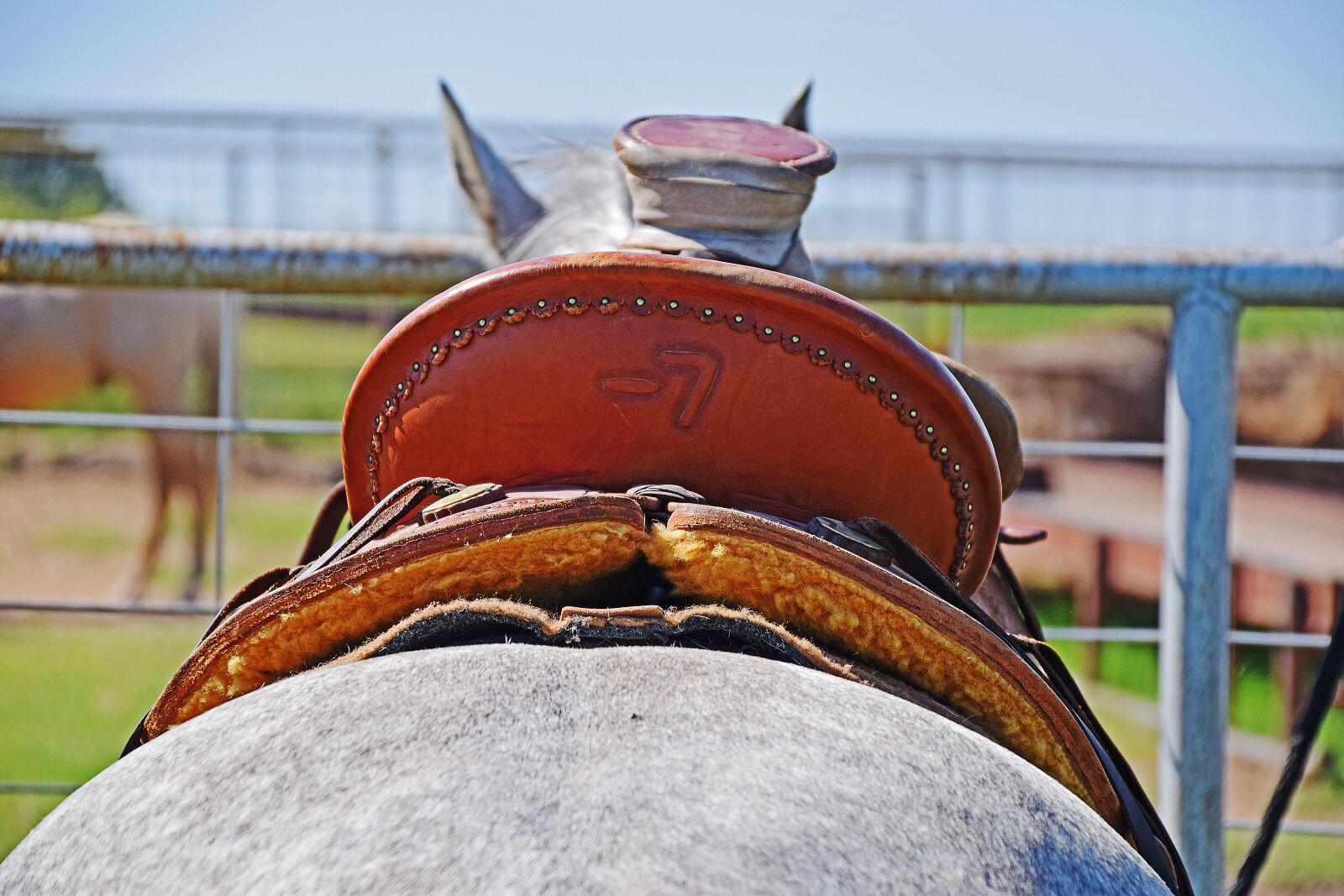 Nikon D5300 sample photo. Western saddle, wade, ranch photography