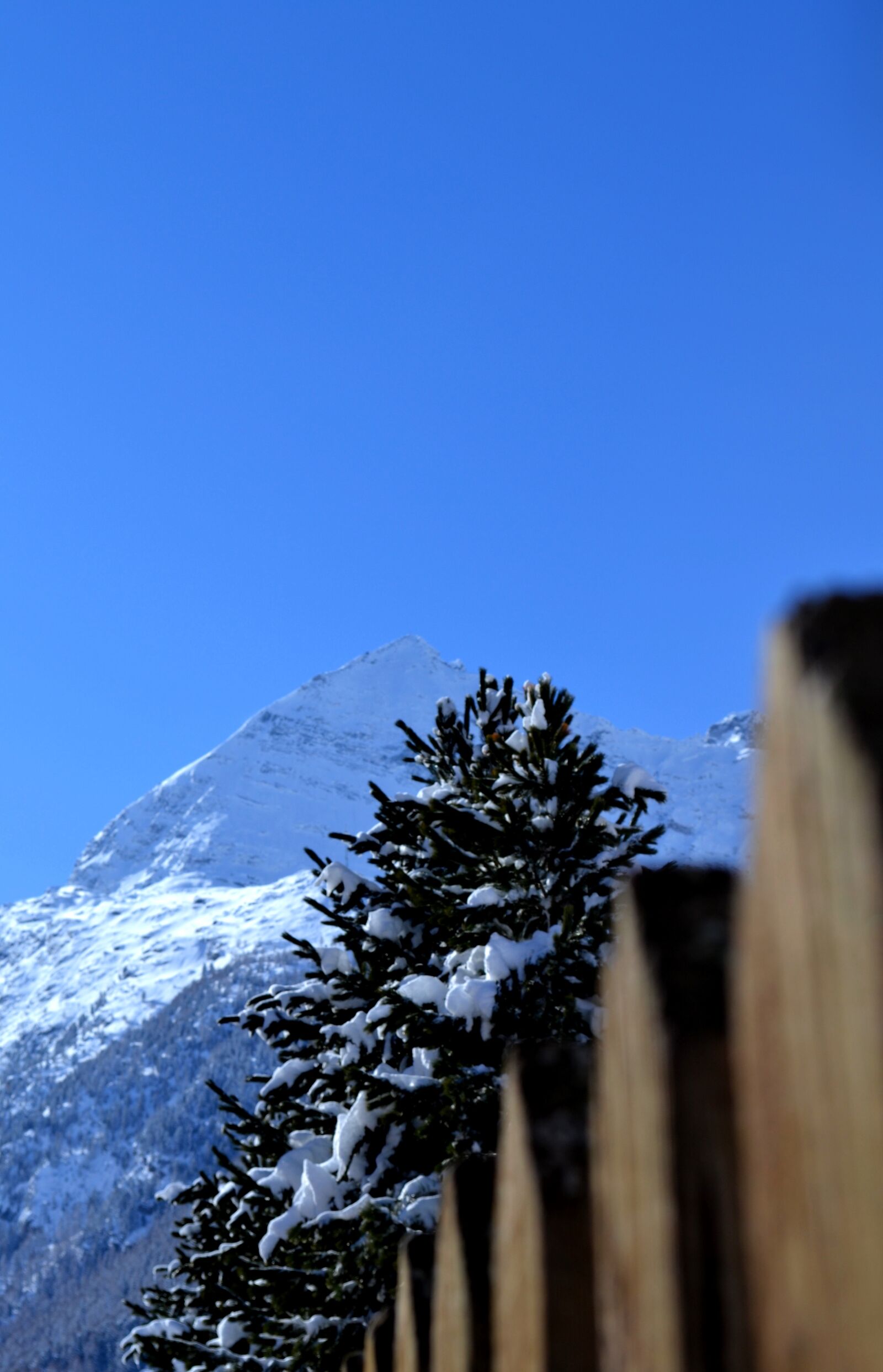 Nikon D3100 sample photo. Paling, snow, landscape photography