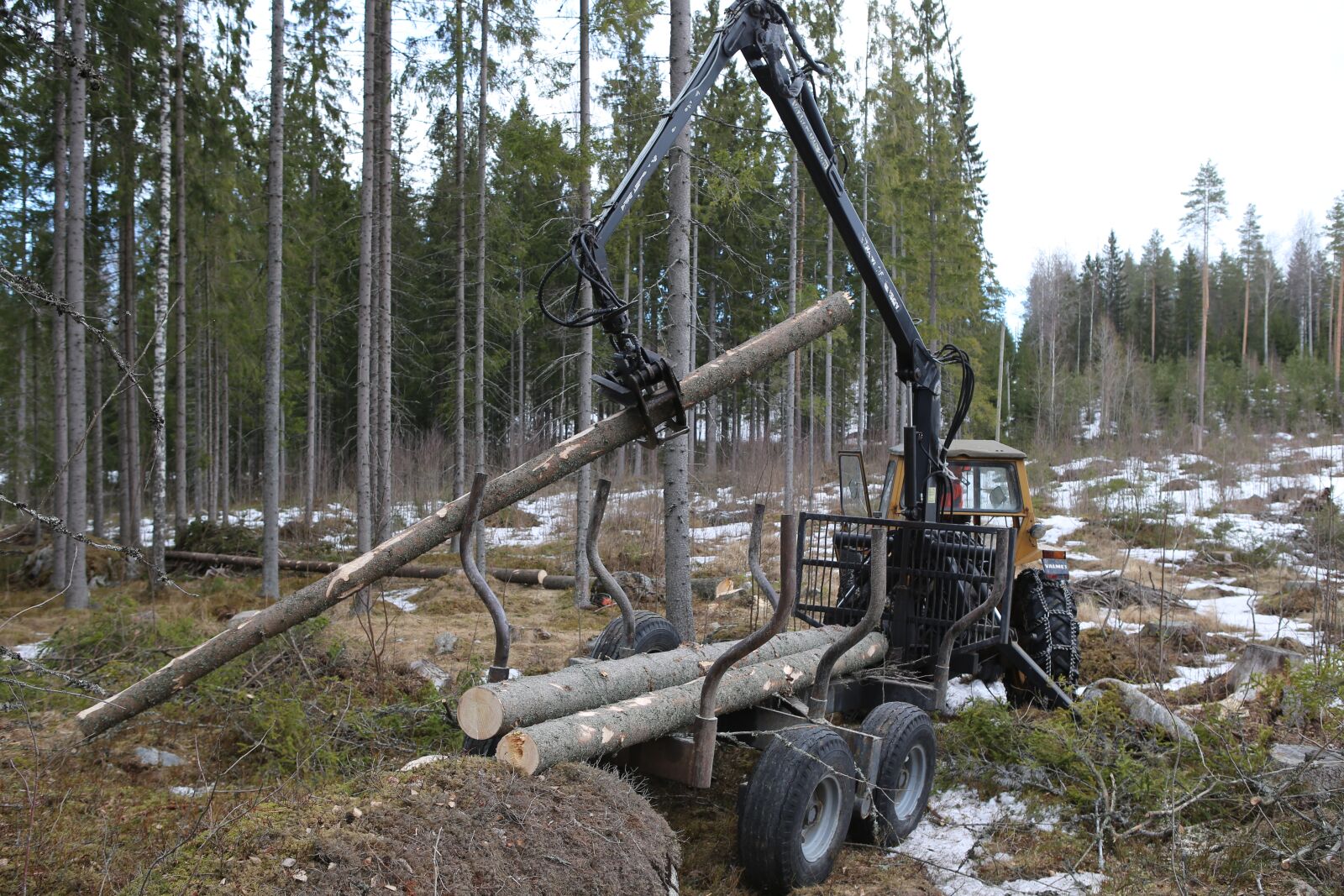 Canon EOS 6D + Canon EF 24-70mm F2.8L USM sample photo. Forest, logging, tree photography