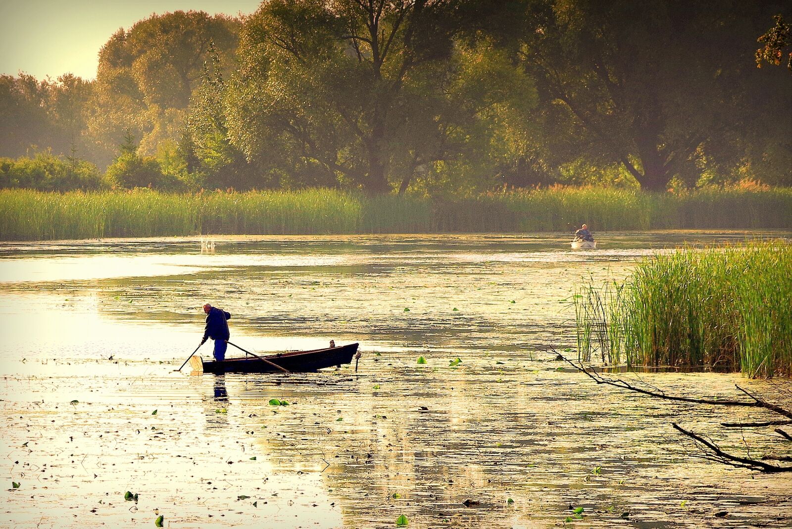 Pentax K-S2 sample photo. Pond, lake, the fisherman photography