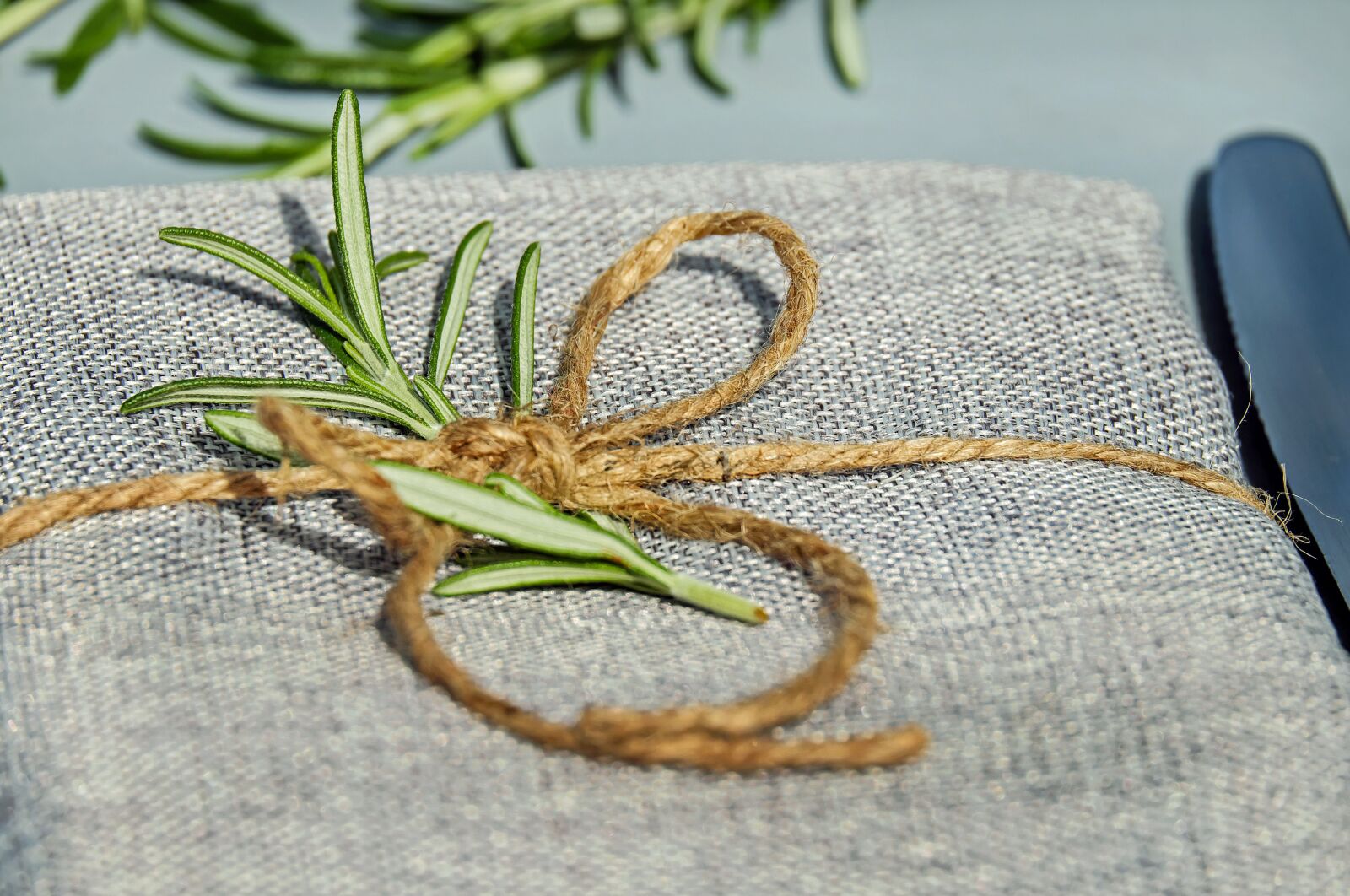 Fujifilm X-T10 + Fujifilm XC 50-230mm F4.5-6.7 OIS sample photo. Rosemary, herbs, spice photography
