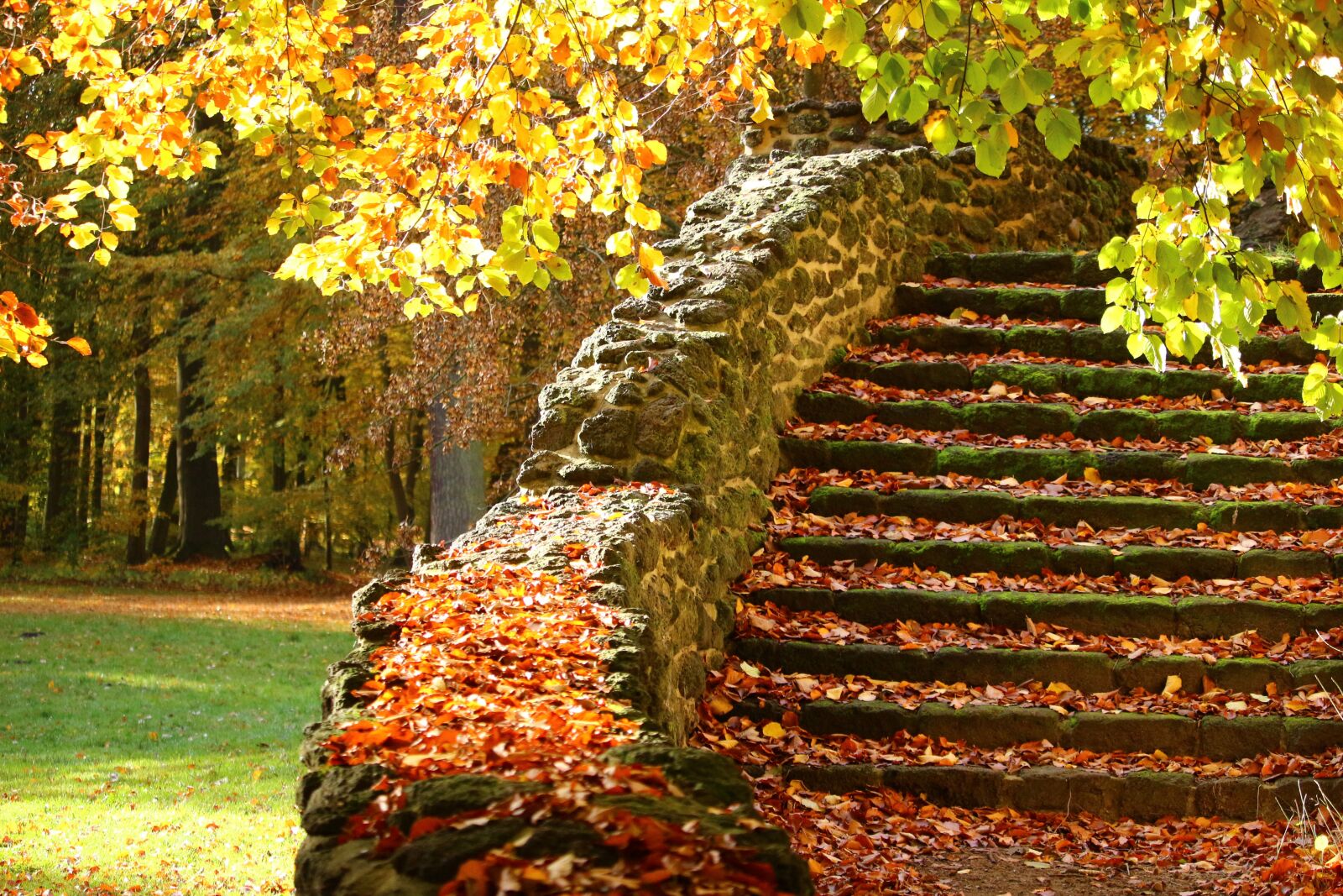 Canon EOS 100D (EOS Rebel SL1 / EOS Kiss X7) sample photo. Stairs, stone steps, autumn photography
