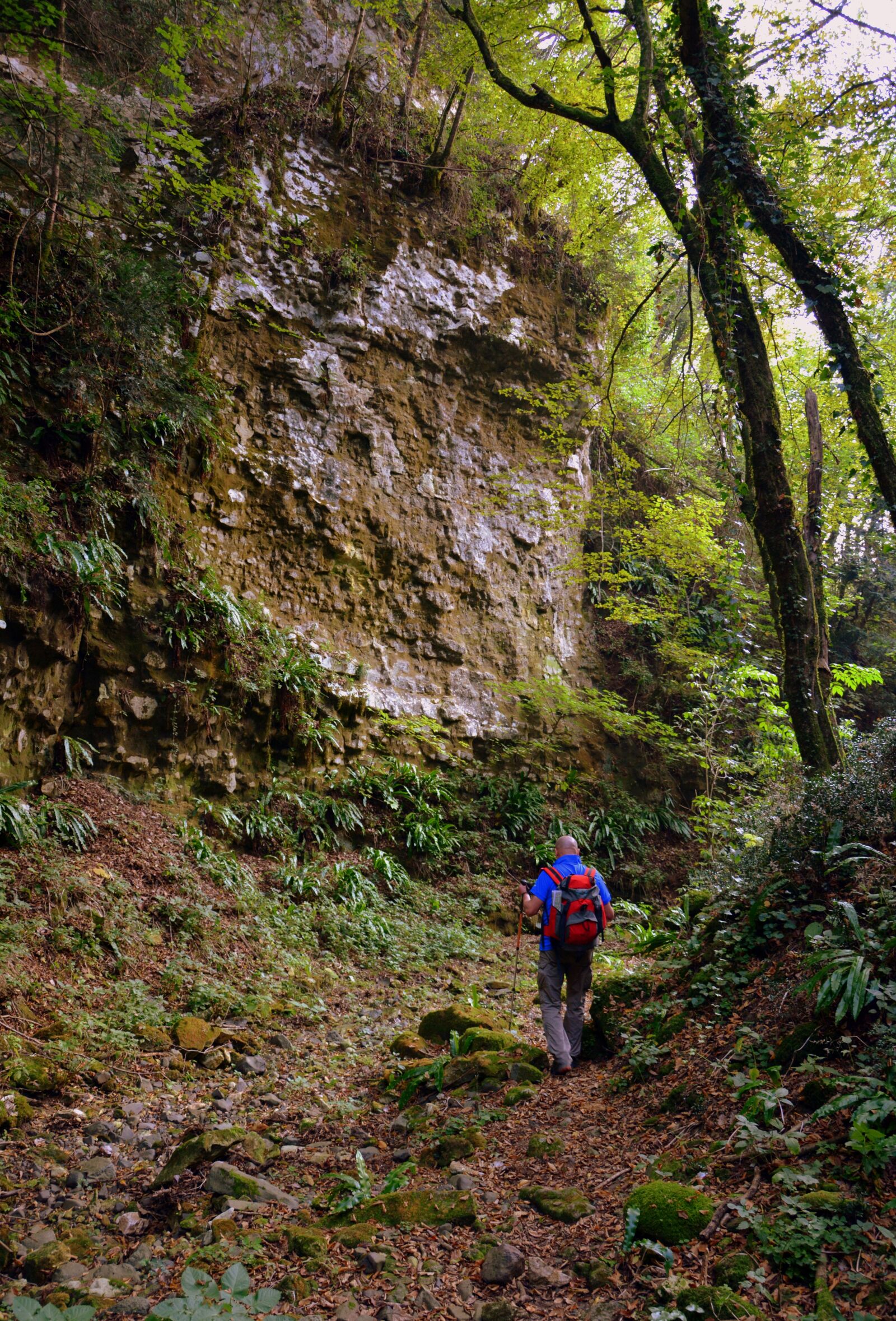 Nikon D7100 sample photo. The european path, e5 photography