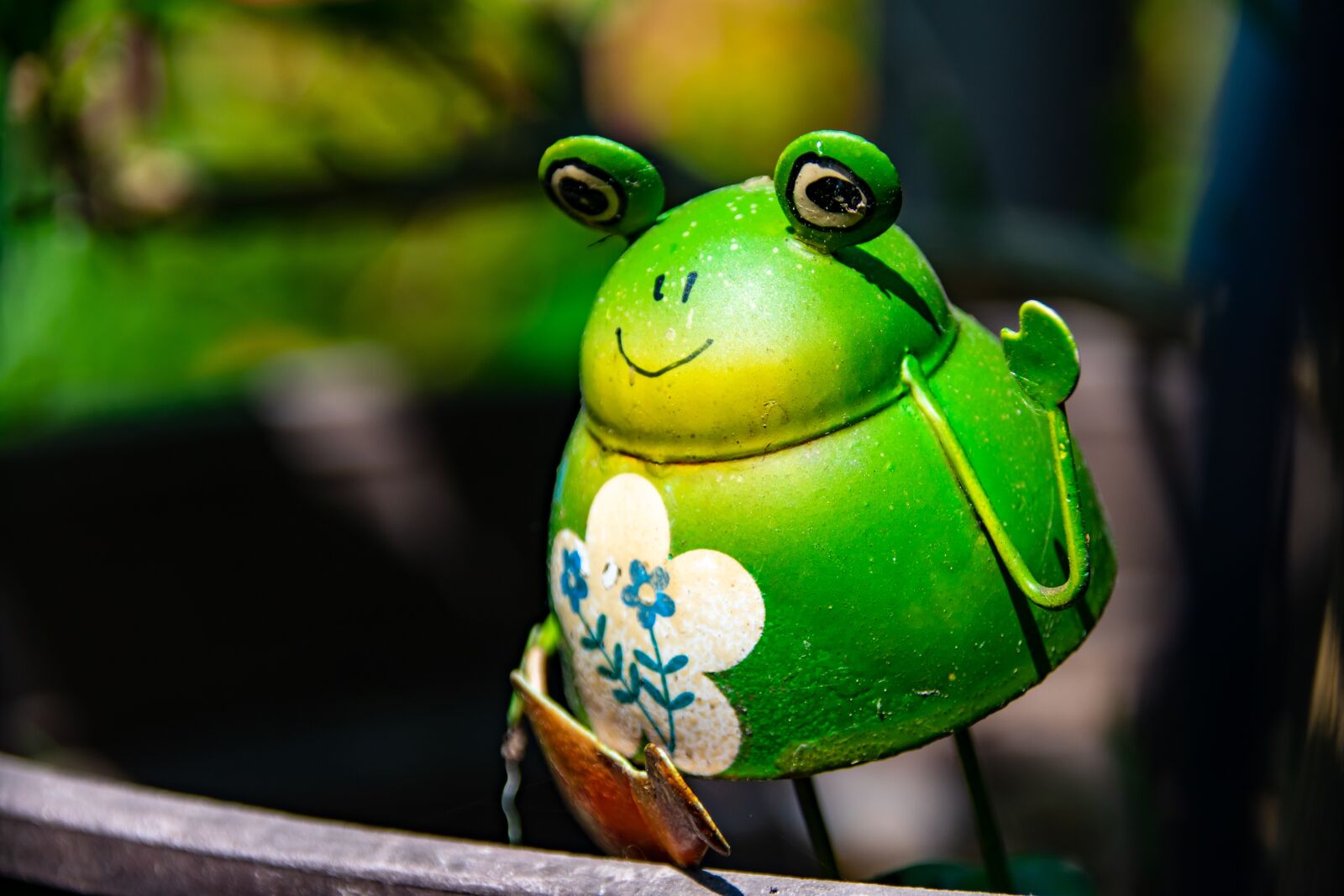Nikon D3400 sample photo. Frog, sheet, sweet photography